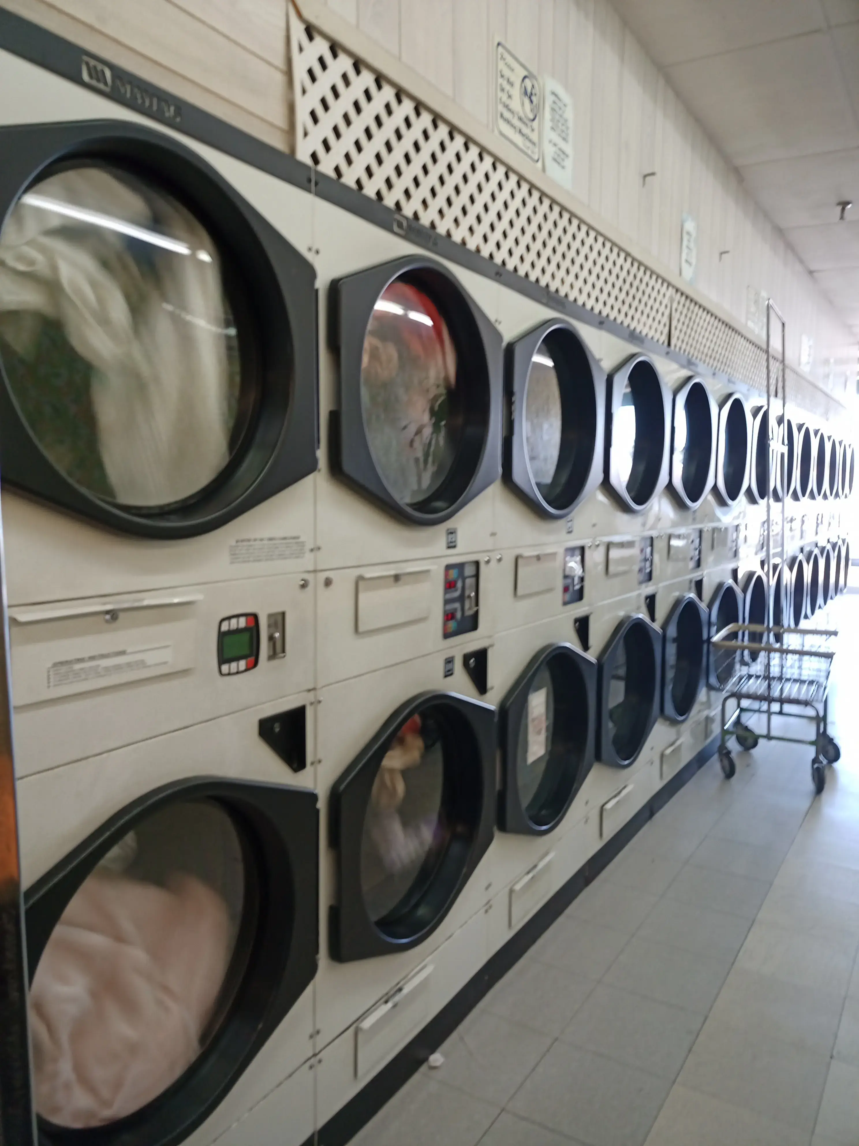 Creekside Laundry thumbnail 15