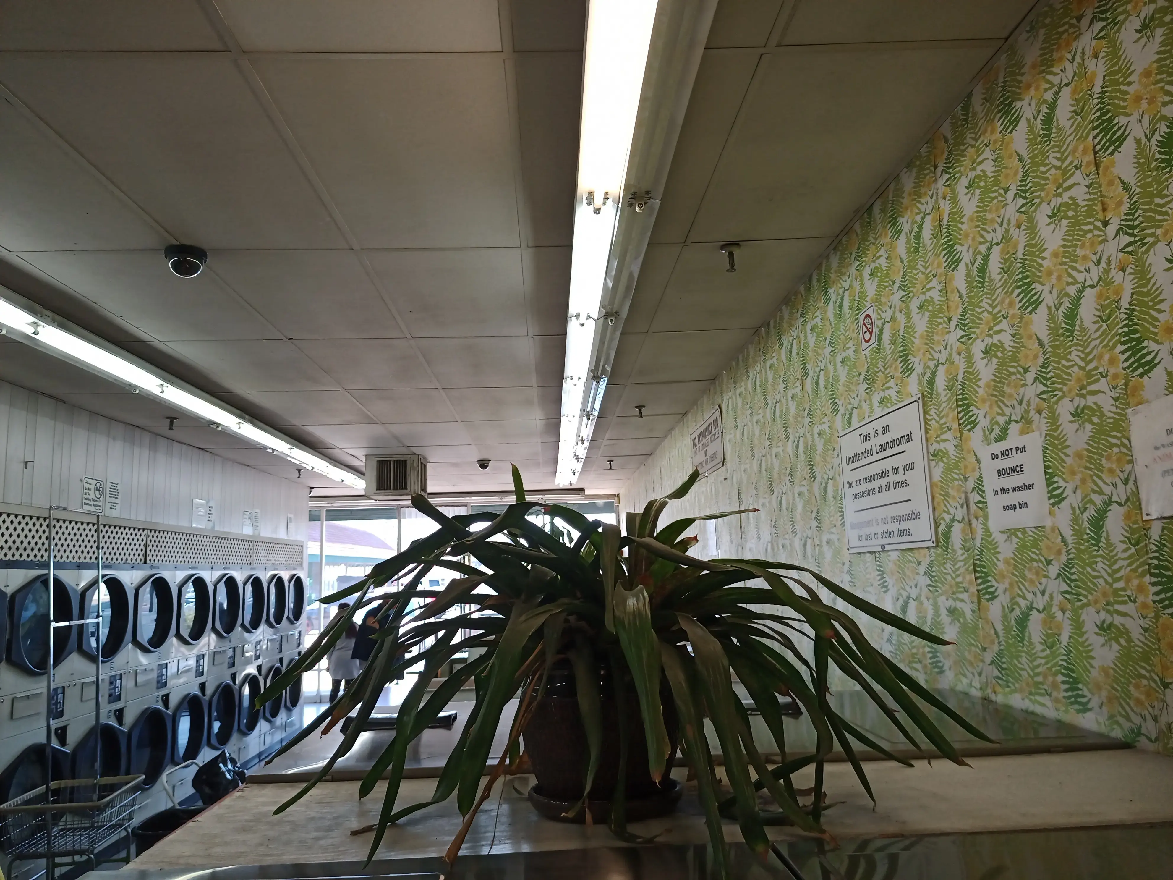 Creekside Laundry thumbnail 9