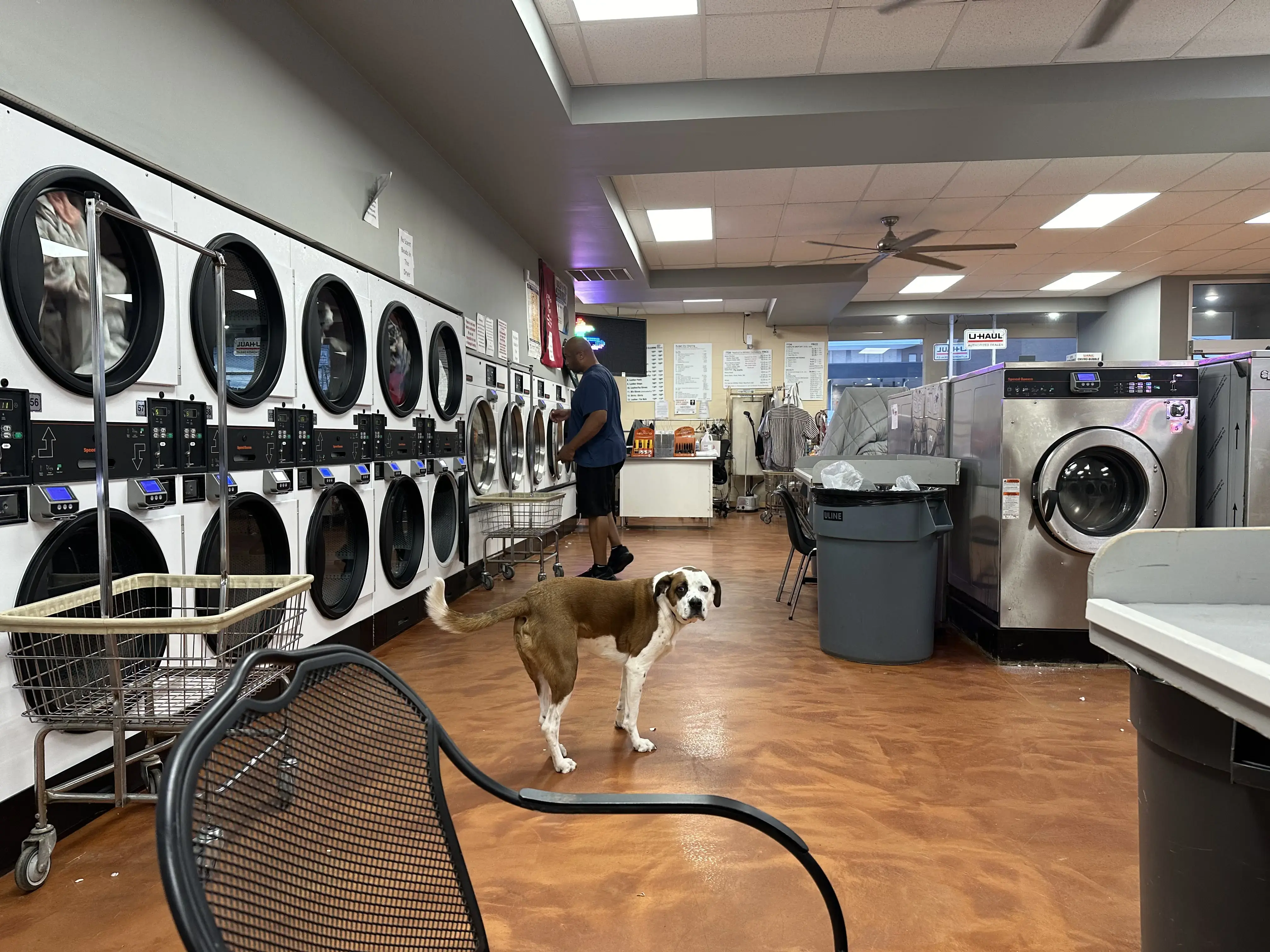 Crestwood Coin Laundry - Image 2