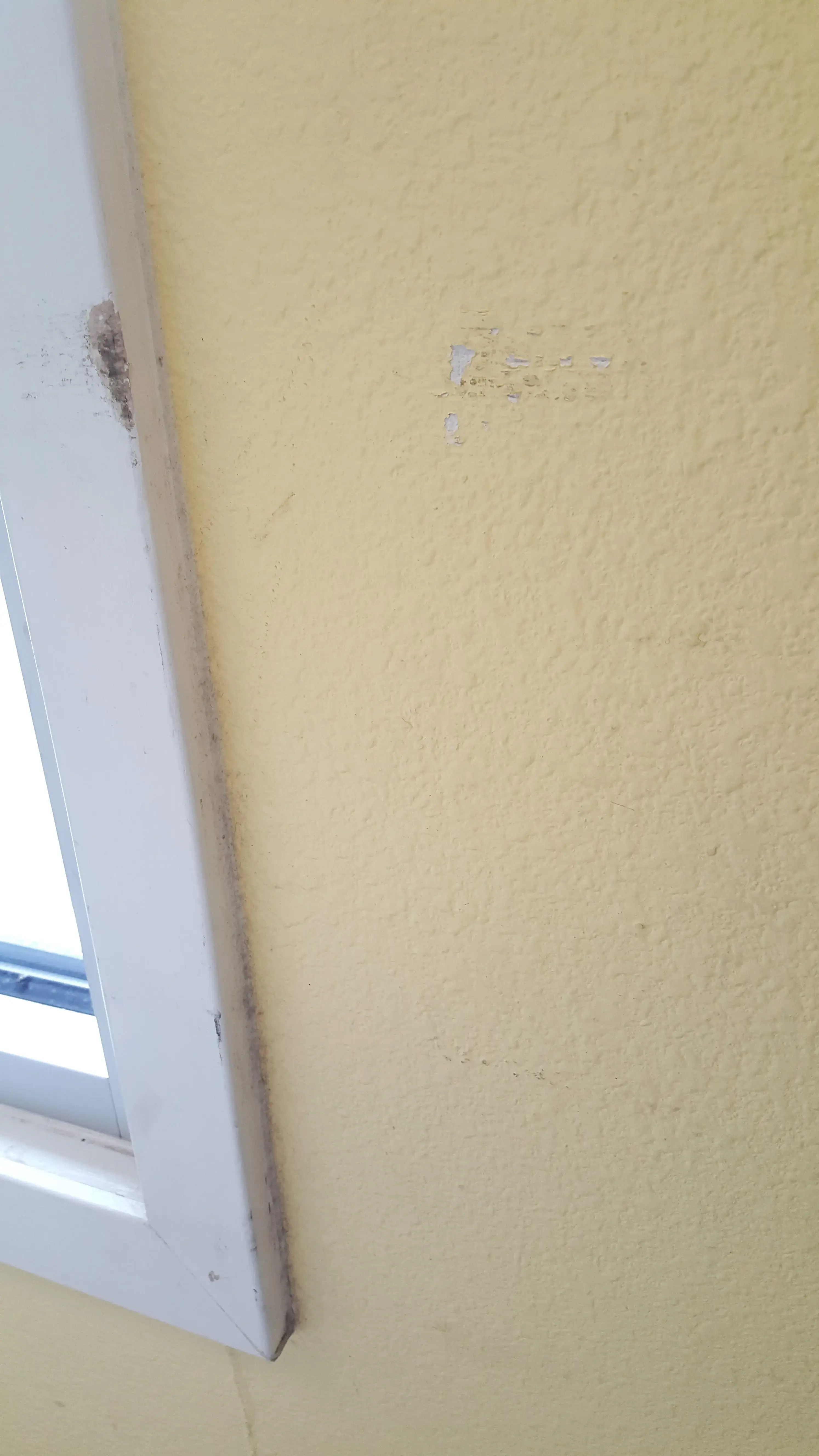 Crisp N Clean Laundry - Image 6