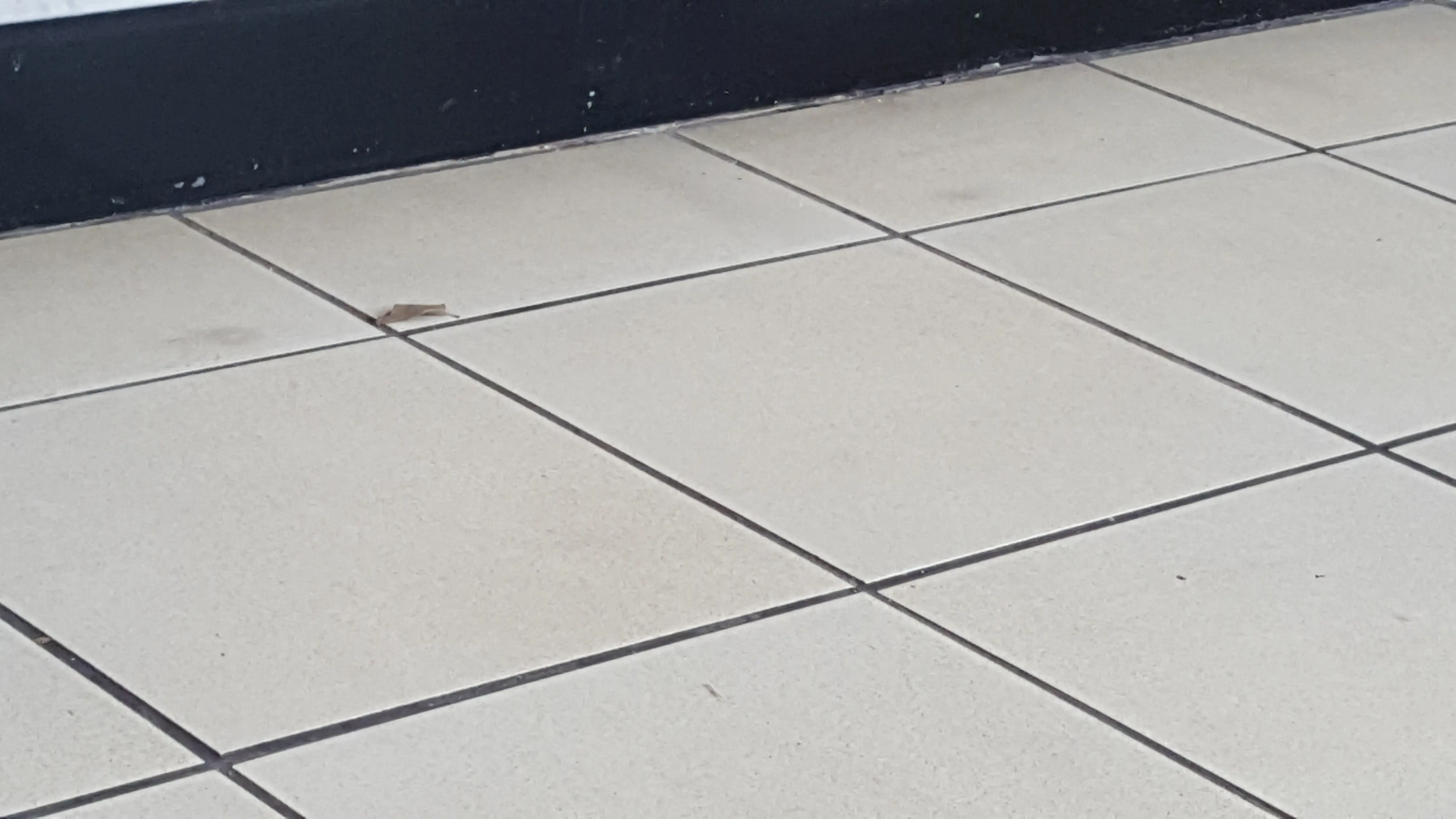 Crisp N Clean Laundry thumbnail 5