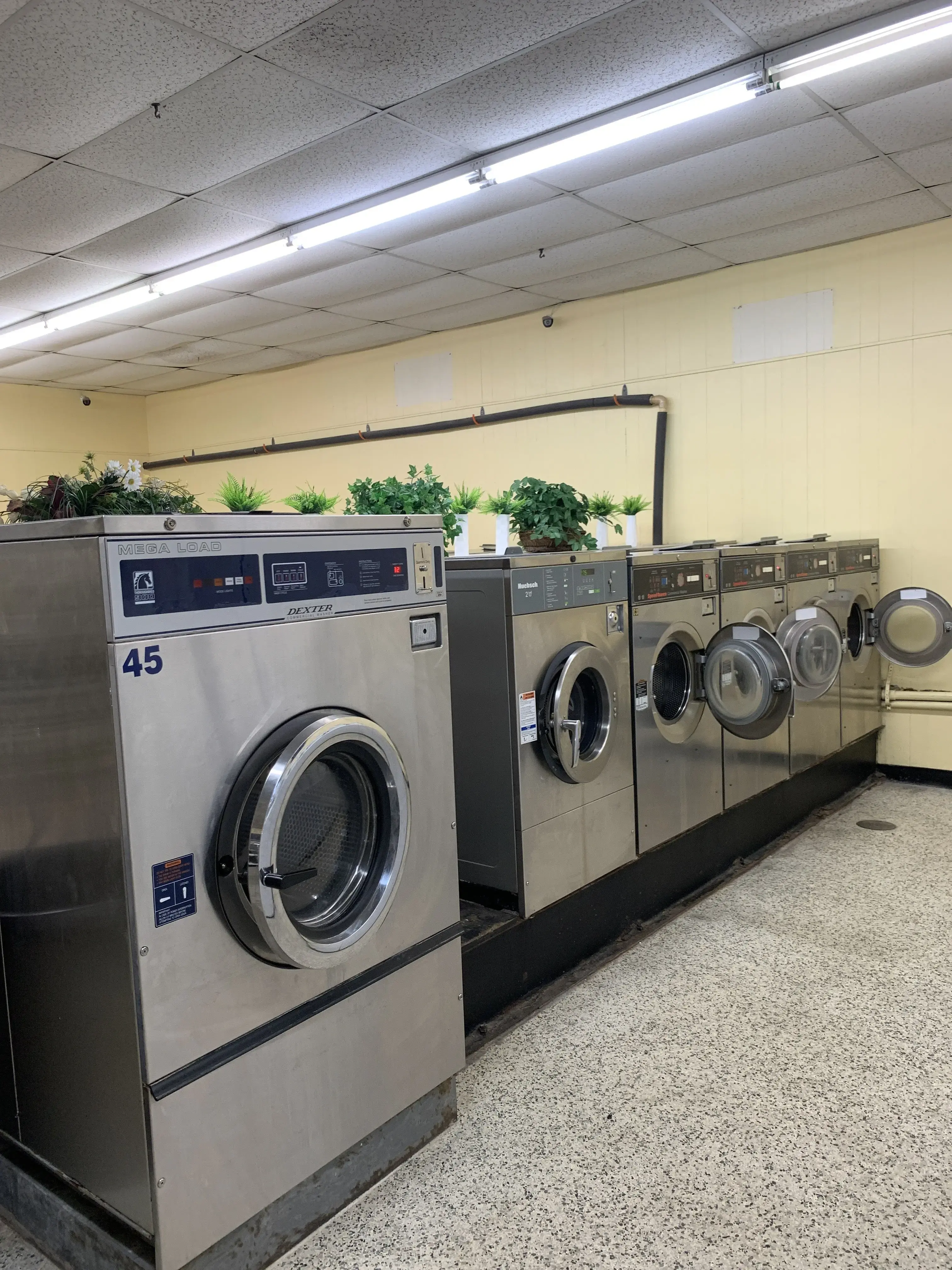 Crown Laundromat thumbnail 4