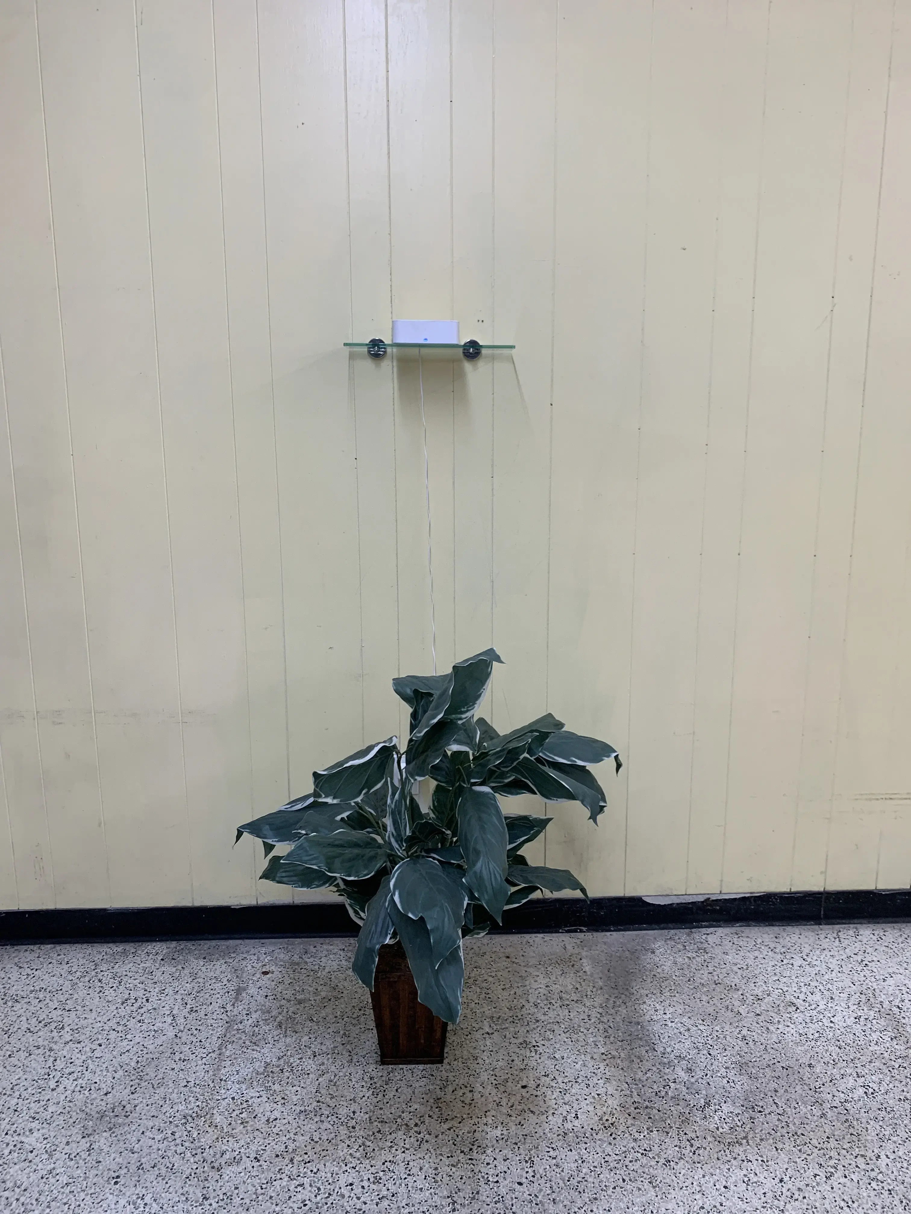 Crown Laundromat - Image 9