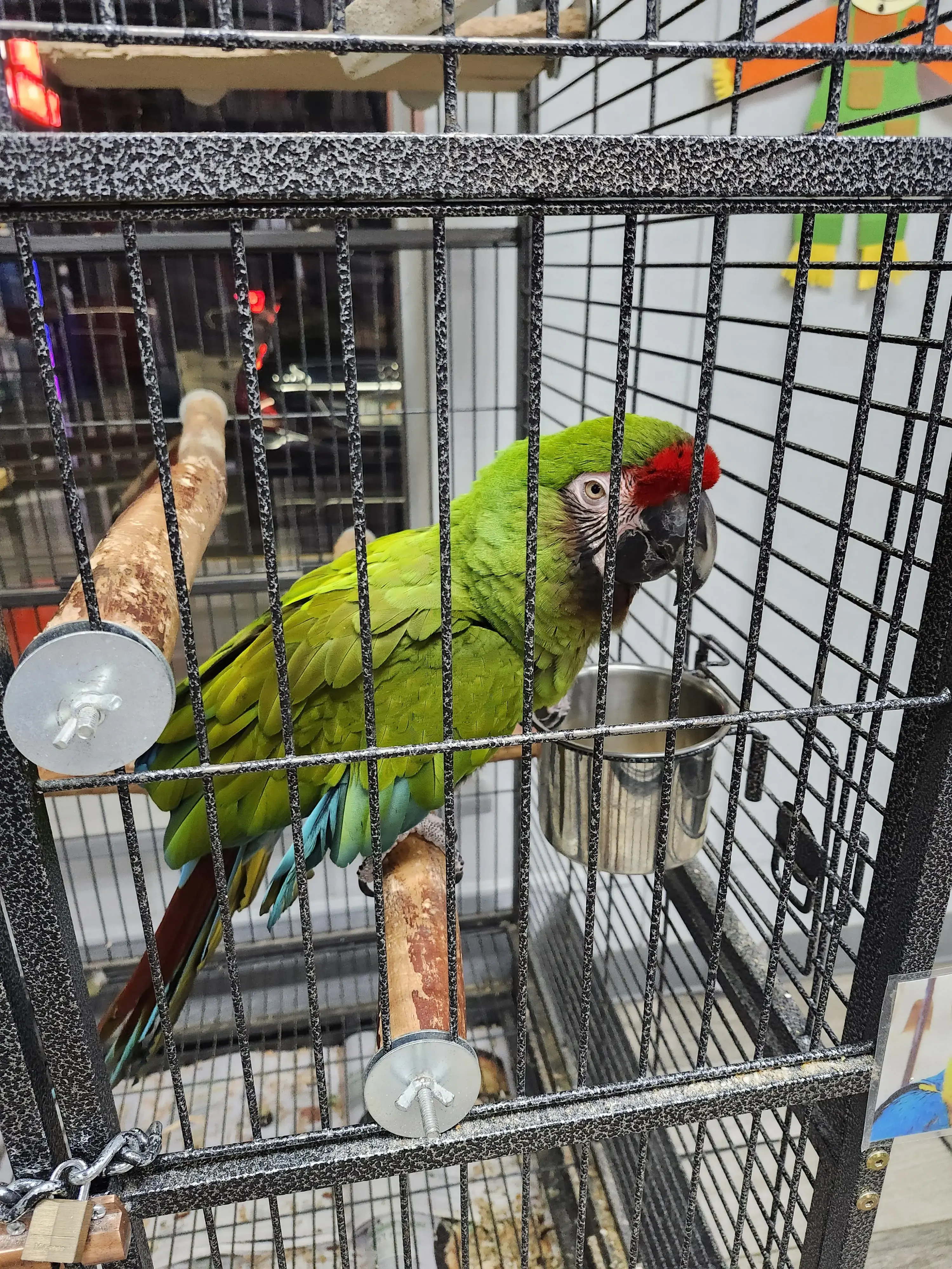 Crystal Clean Laundromat thumbnail 3