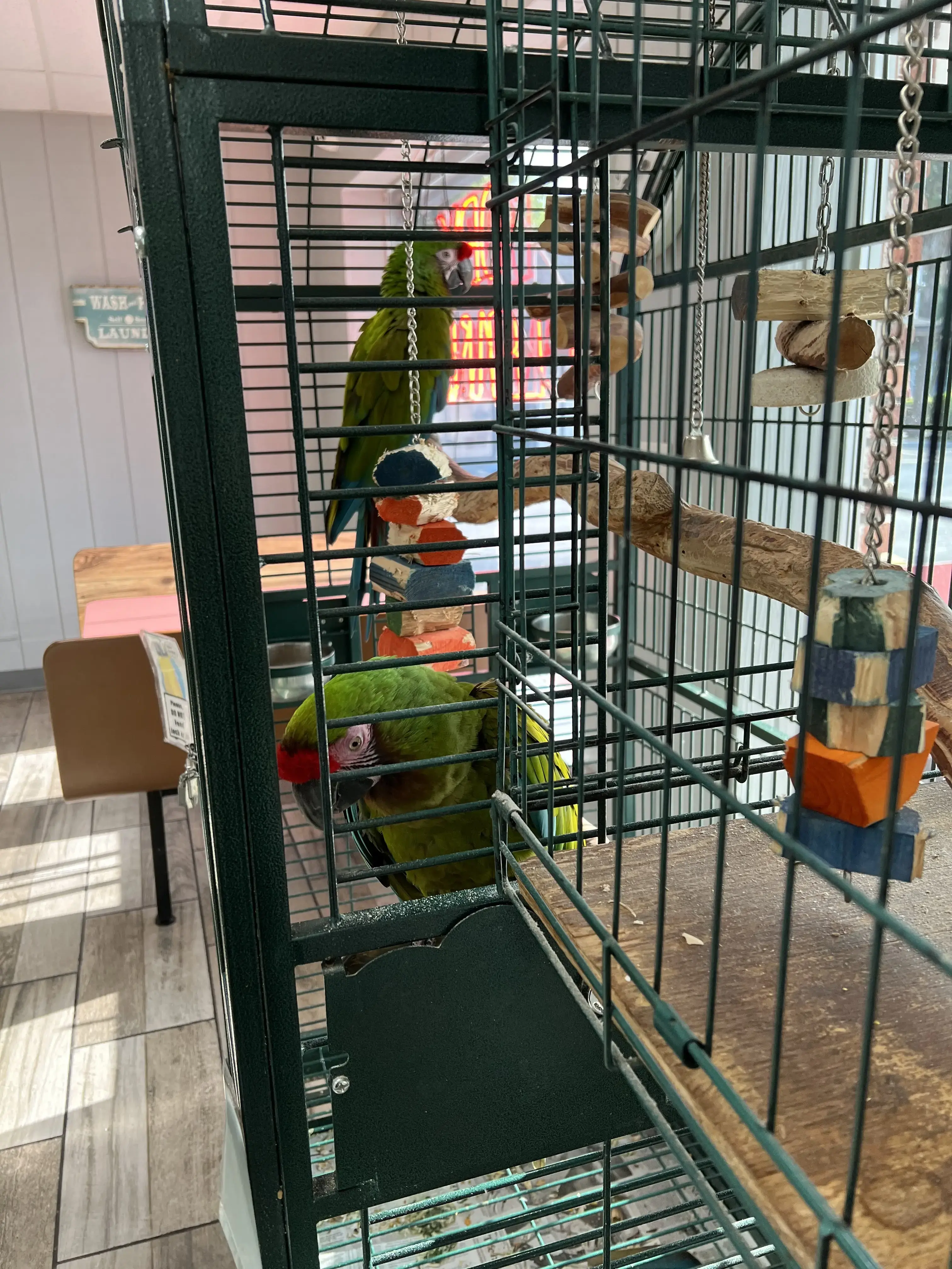 Crystal Clean Laundromat thumbnail 16