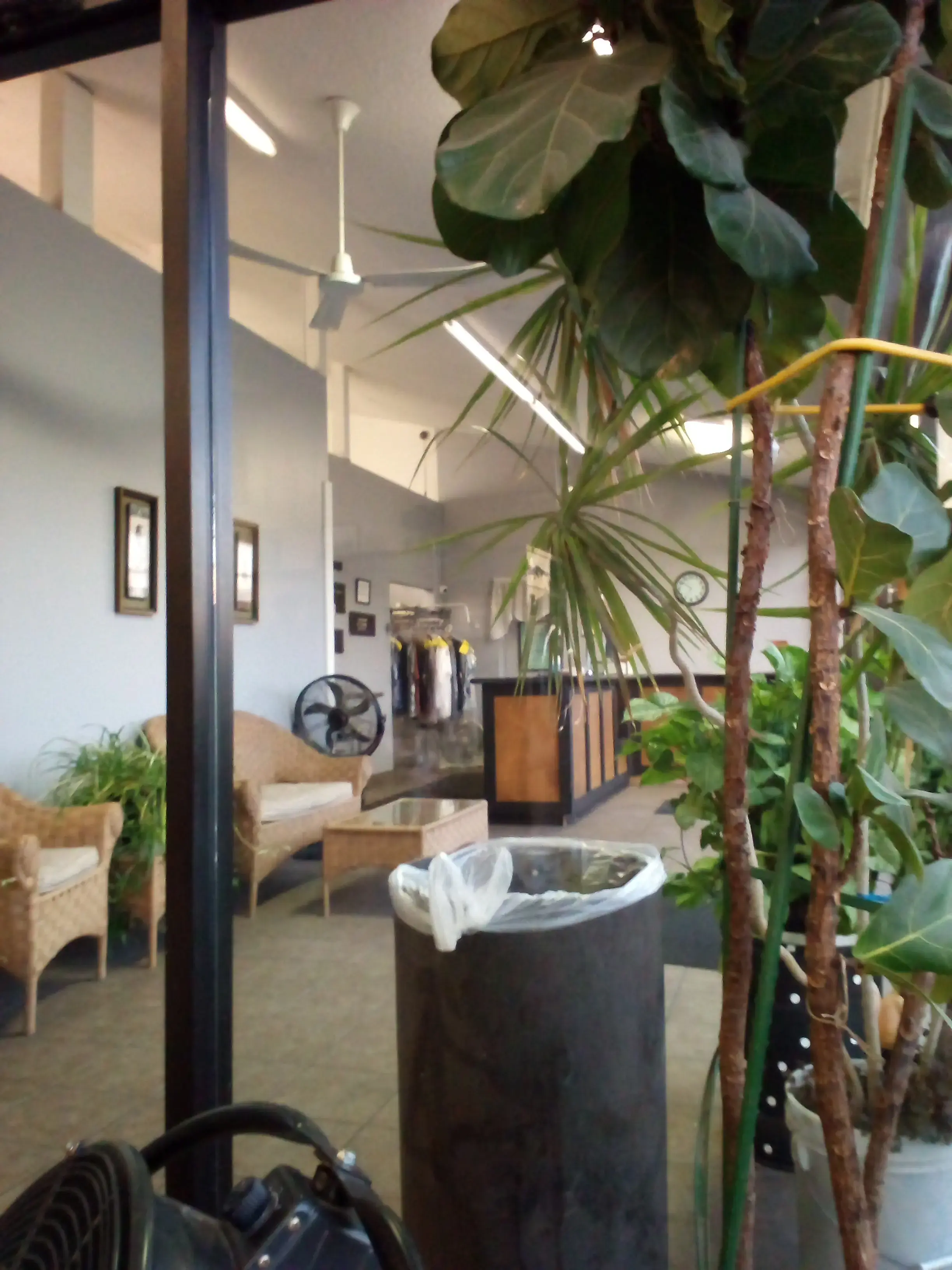 Crystal Cleaners - Image 5
