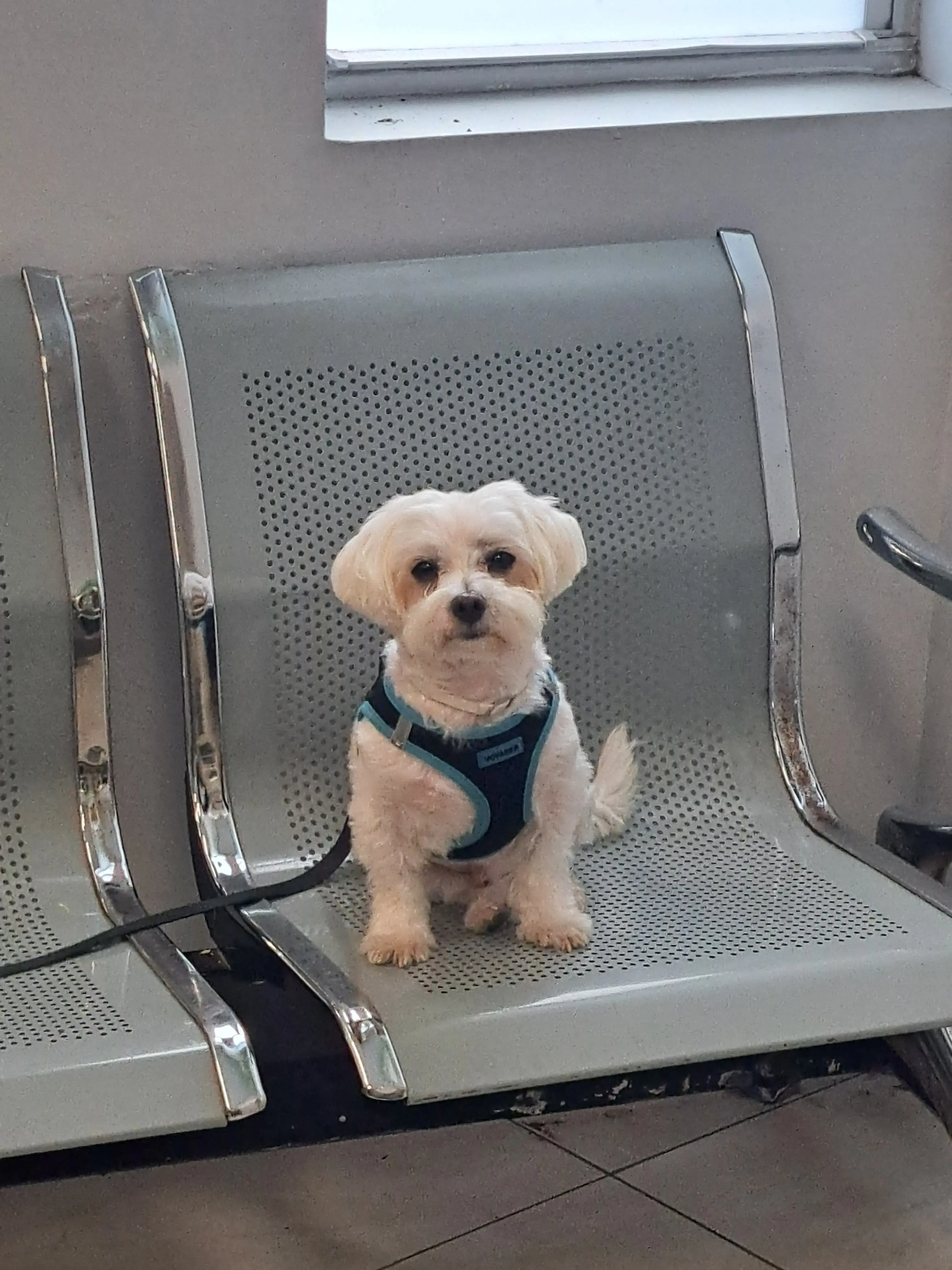 D and J Laundry thumbnail 5