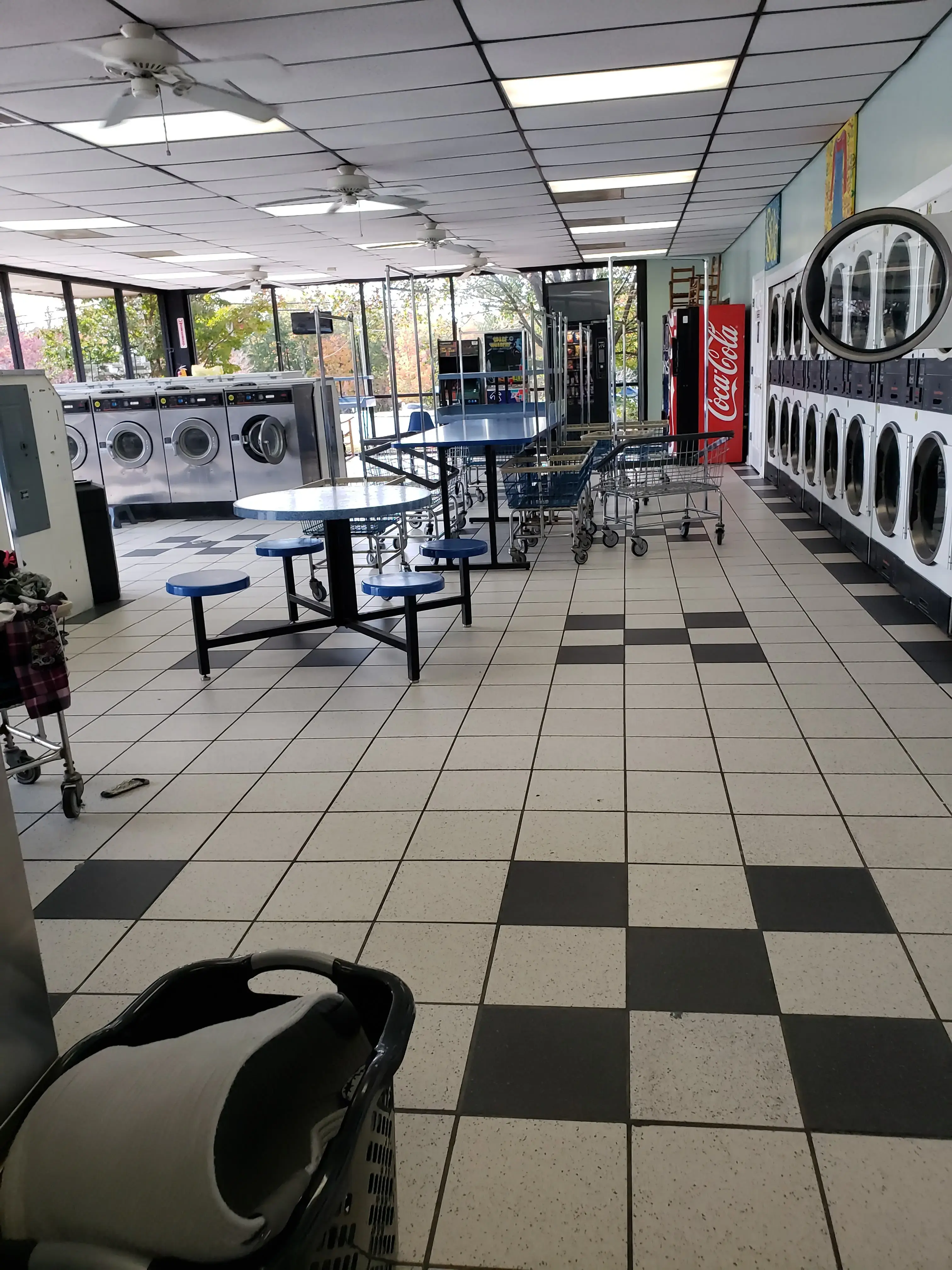 Daisy Fresh Laundry - Image 8