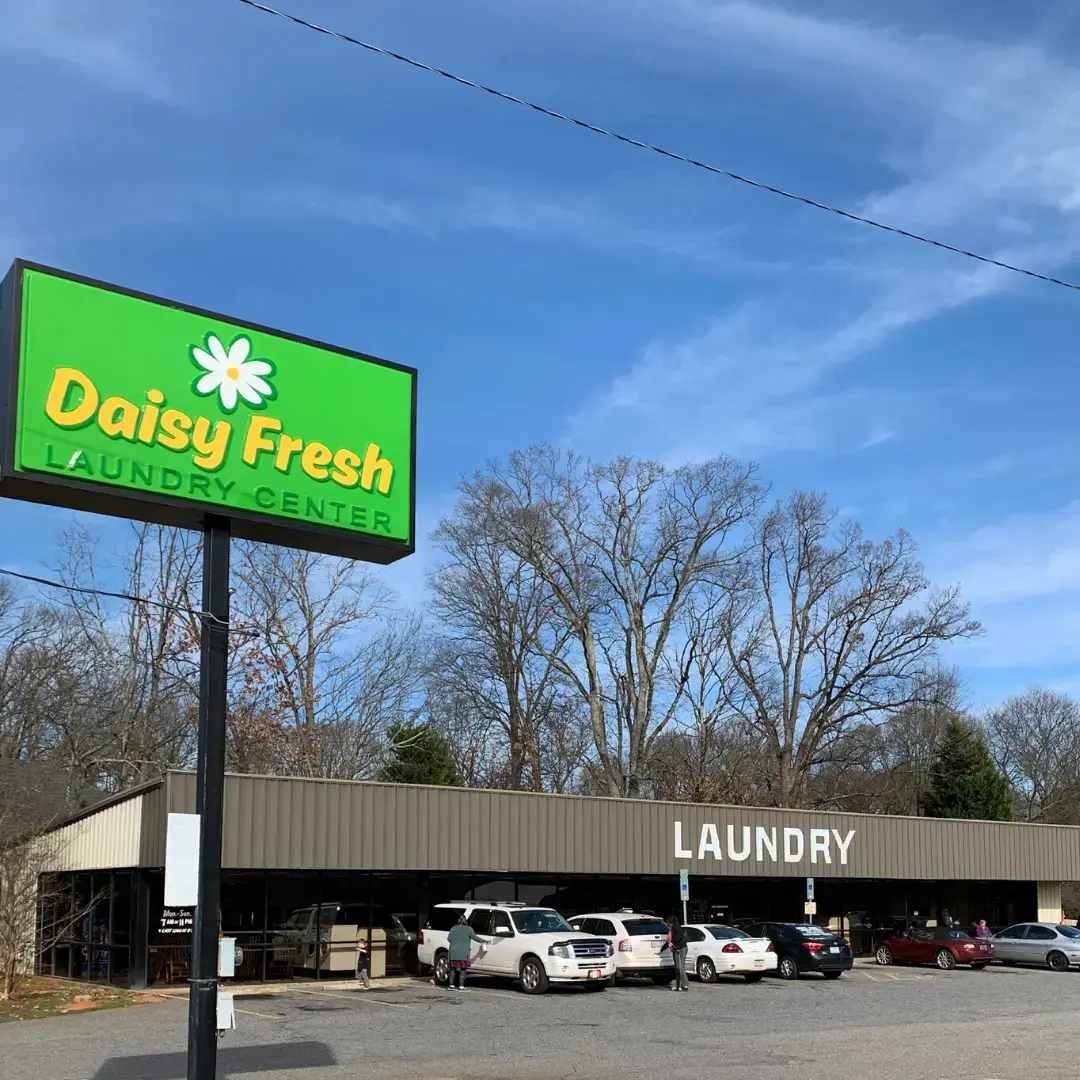 Daisy Fresh Laundry - Image 5