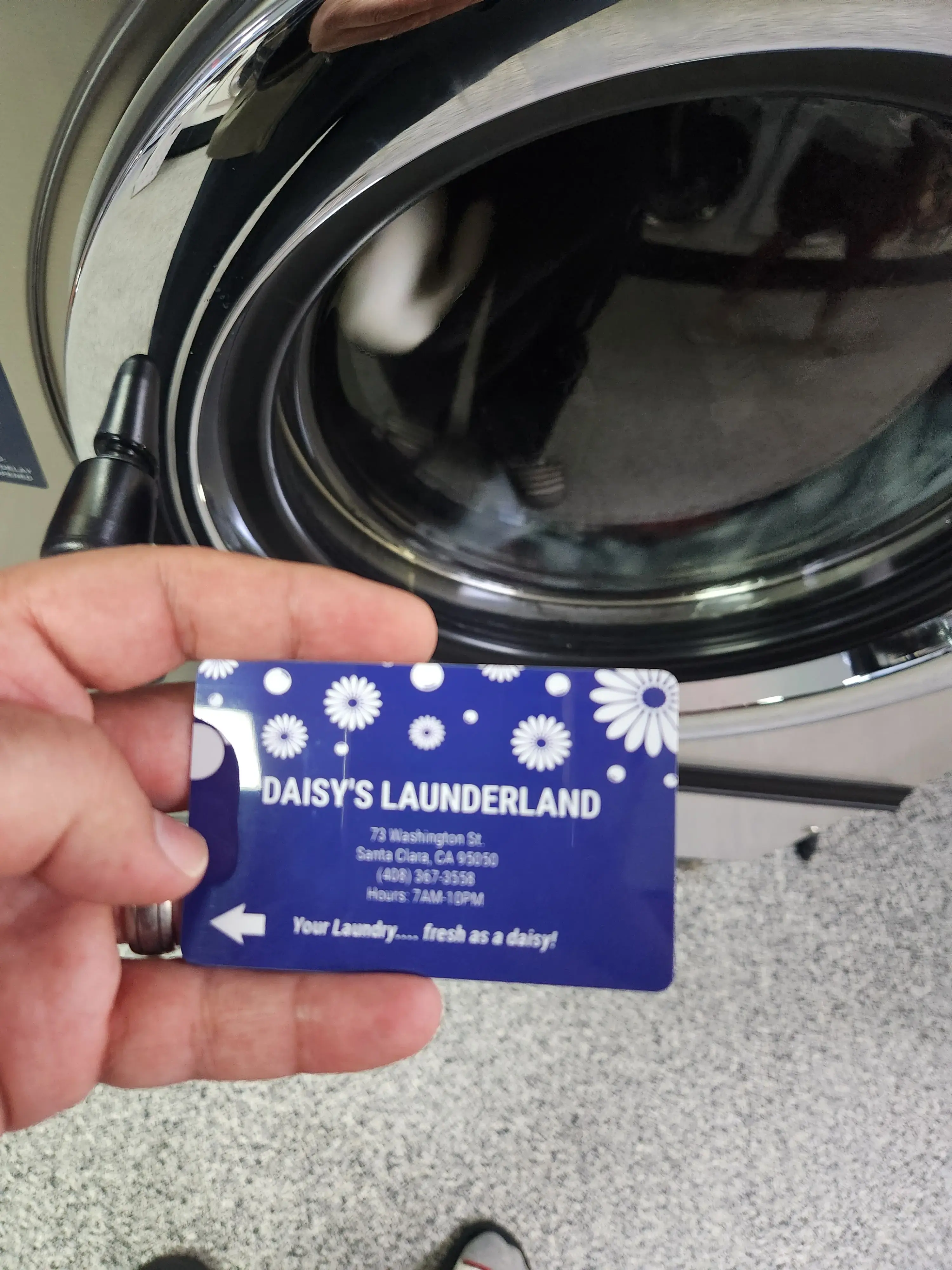 Daisy's Launderland - Image 10