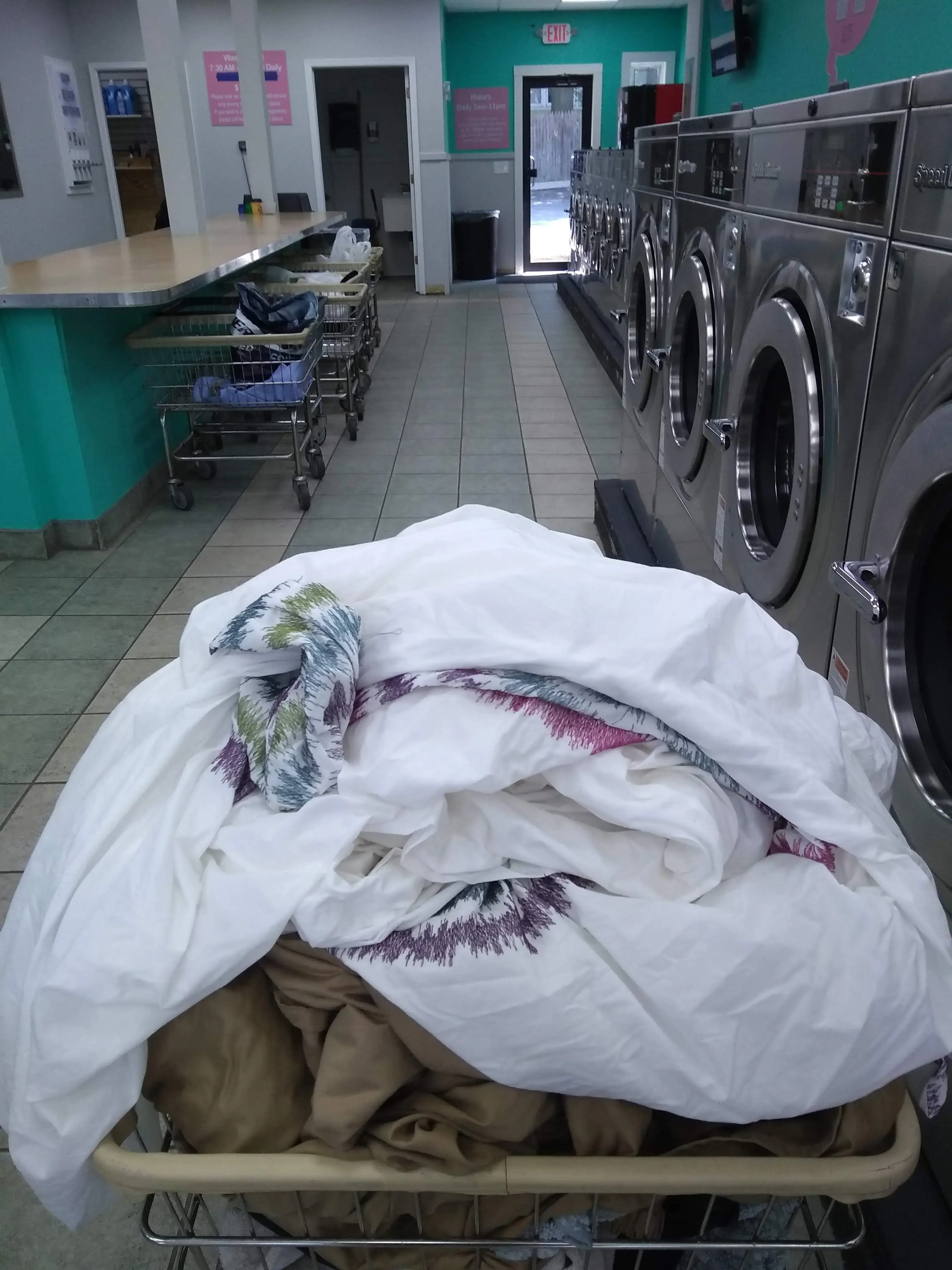 Daisy's Laundromat thumbnail 6