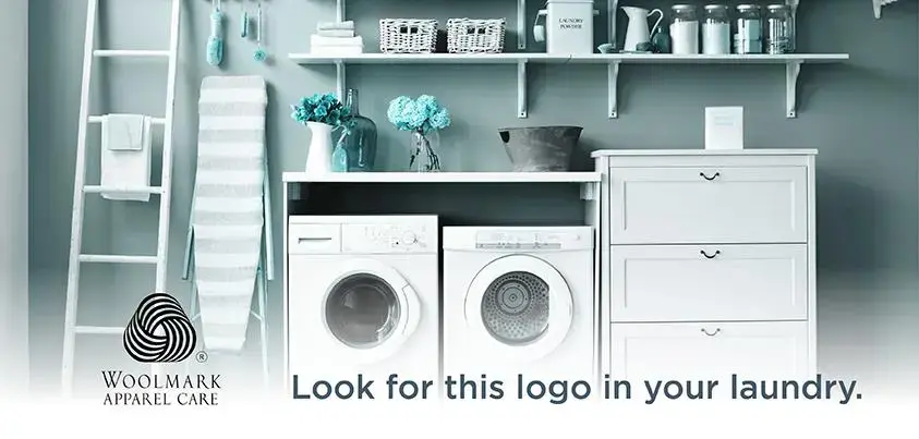 Dandy Cleaners & Laundry, Inc. - Image 17