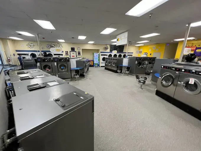 Darcie's Laundry - Image 15