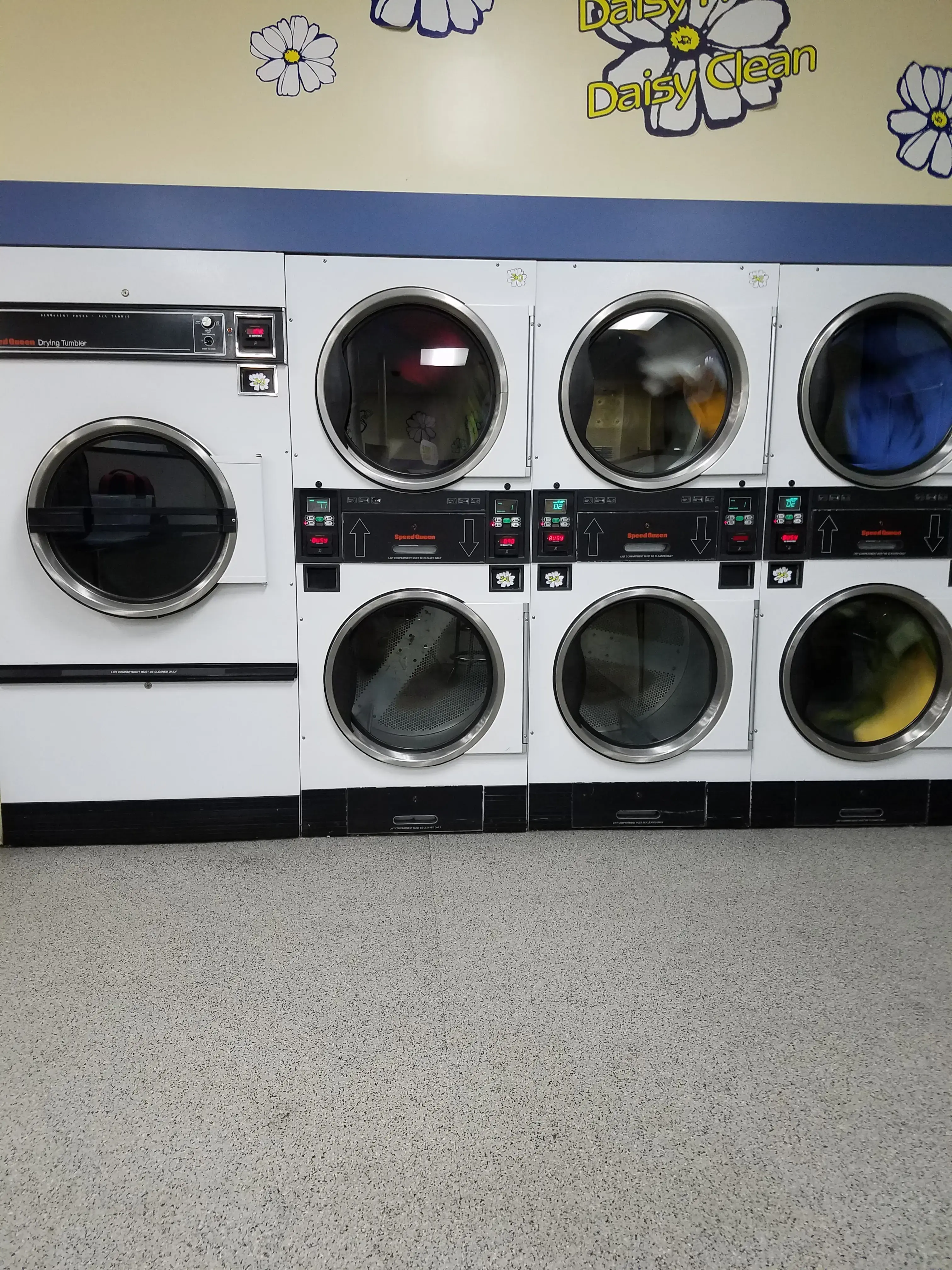 Darcie's Laundry - Image 7