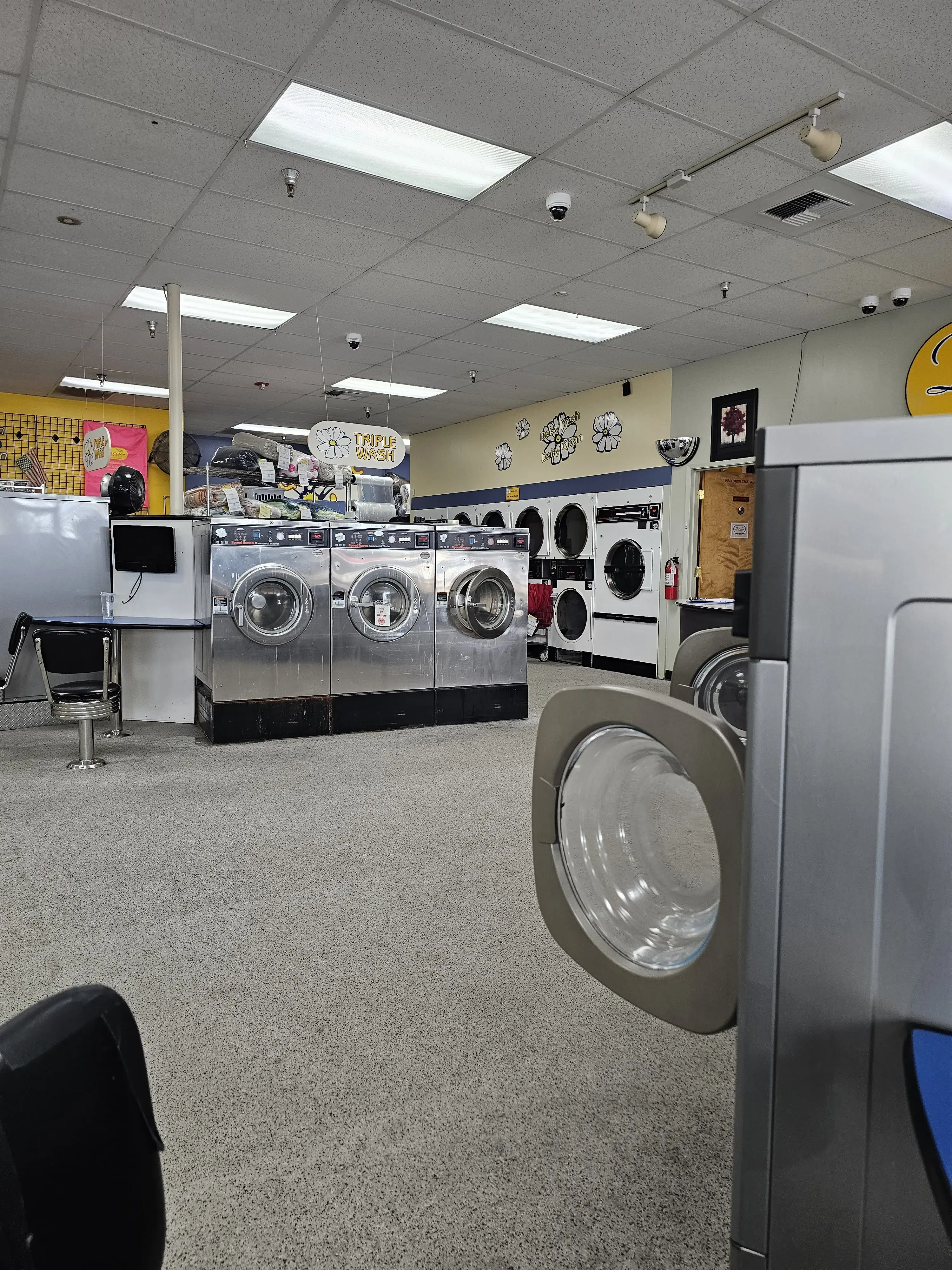 Darcie's Laundry - Image 14
