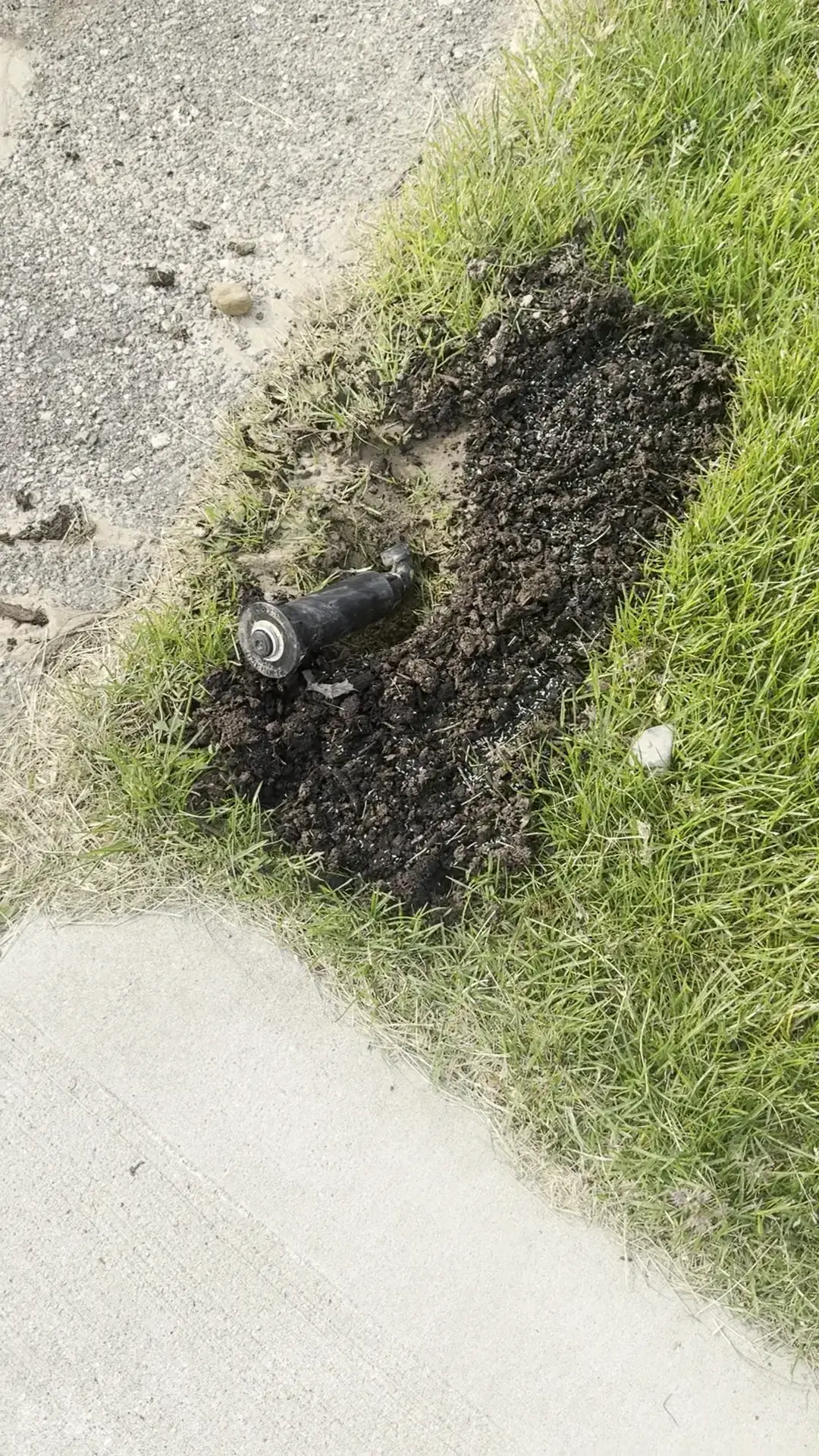 Daybreak Laundry - Image 5