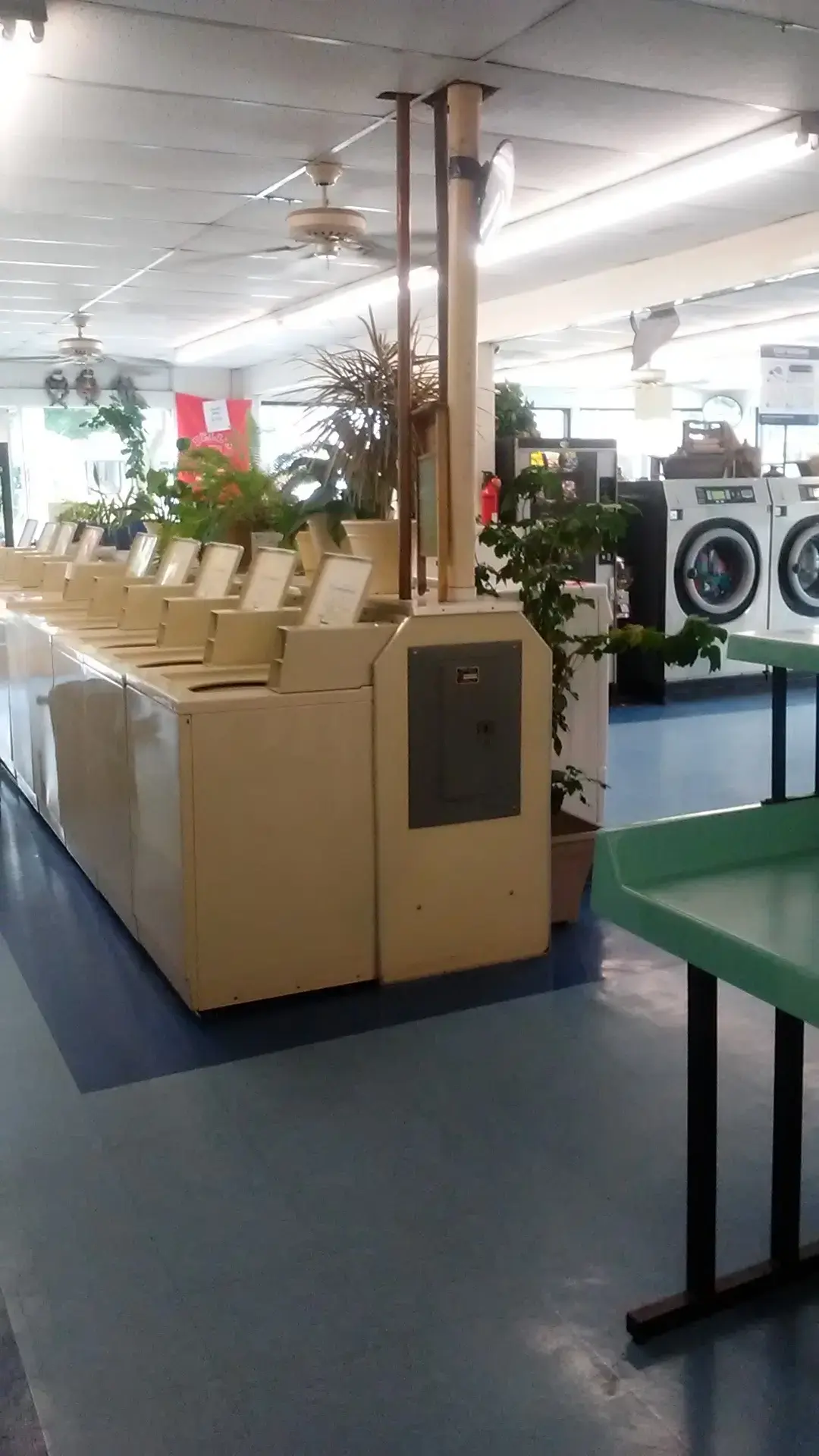 Dell's Coin Laundry - Image 13