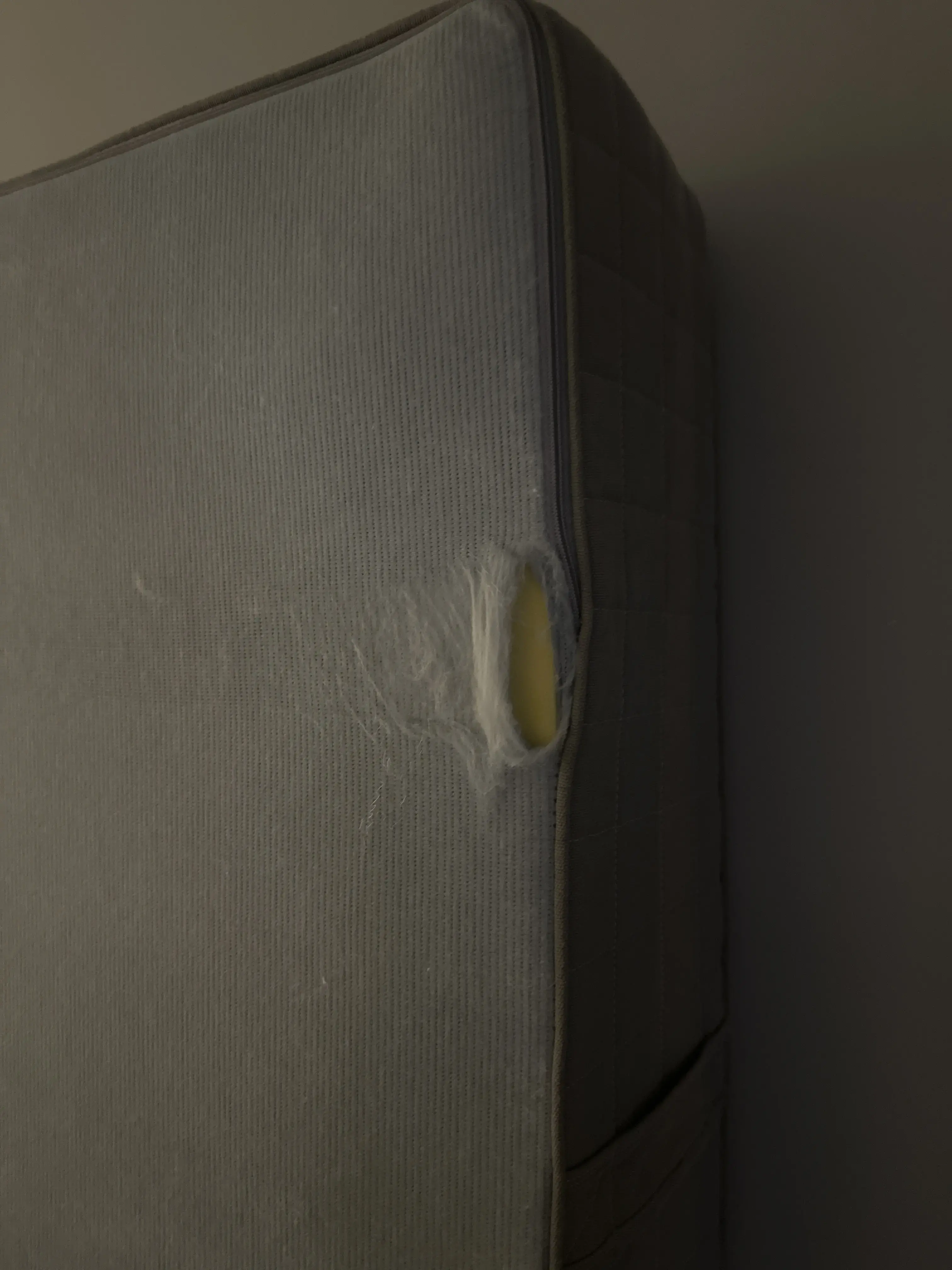 Deluxe Cleaners thumbnail 20