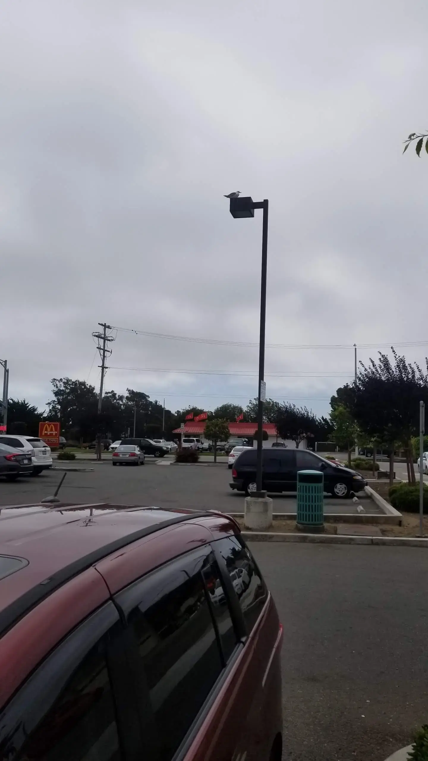 Denise's Coin Laundry South San Francisco thumbnail 20