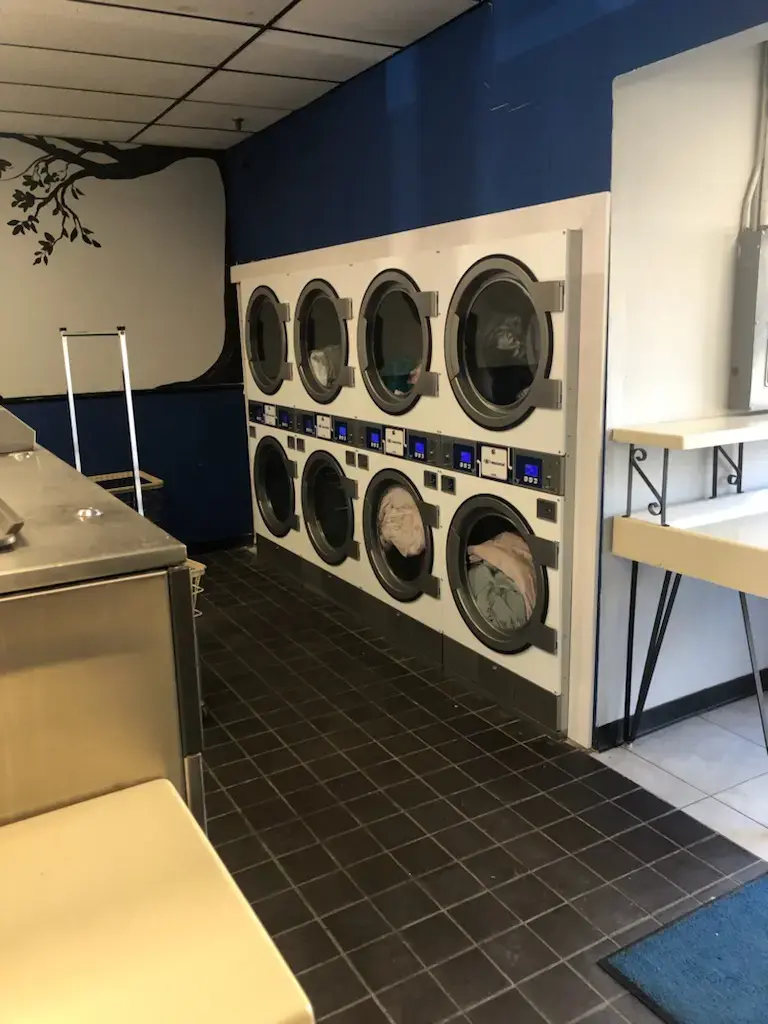 Dermody Cleaners - Image 12