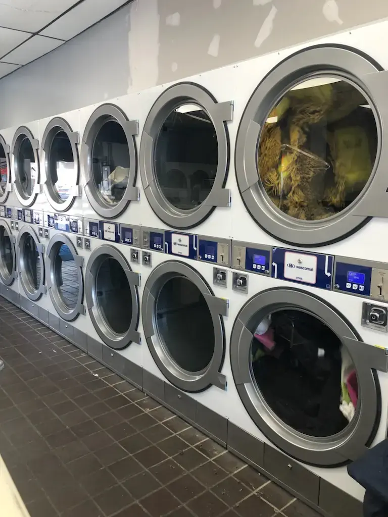Dermody Cleaners thumbnail 16