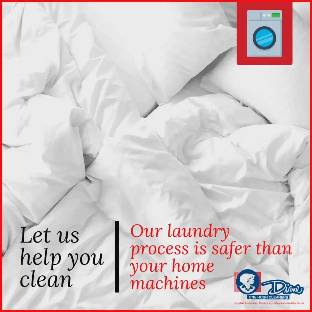 Diane Cleaners thumbnail 16