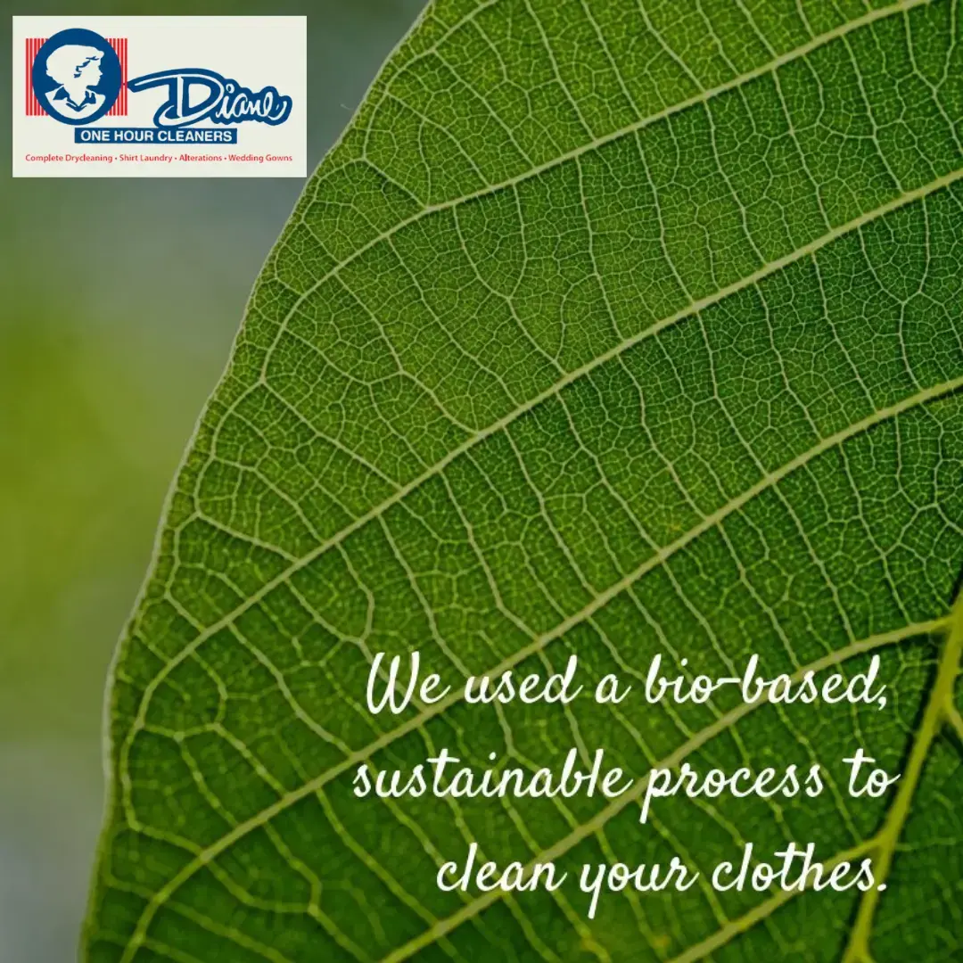 Diane Cleaners - Image 14