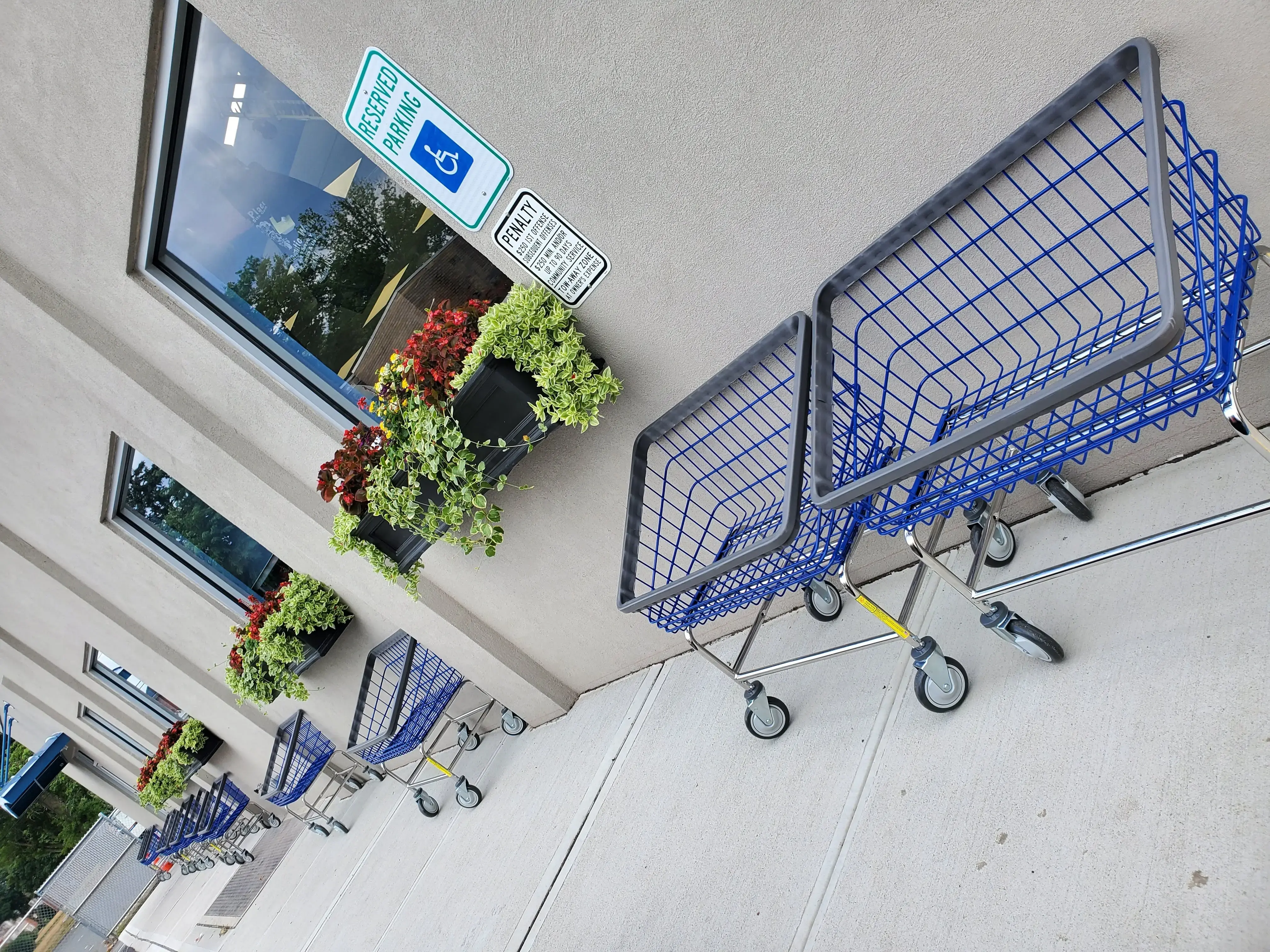 Diane's O'Matic Wash thumbnail 12