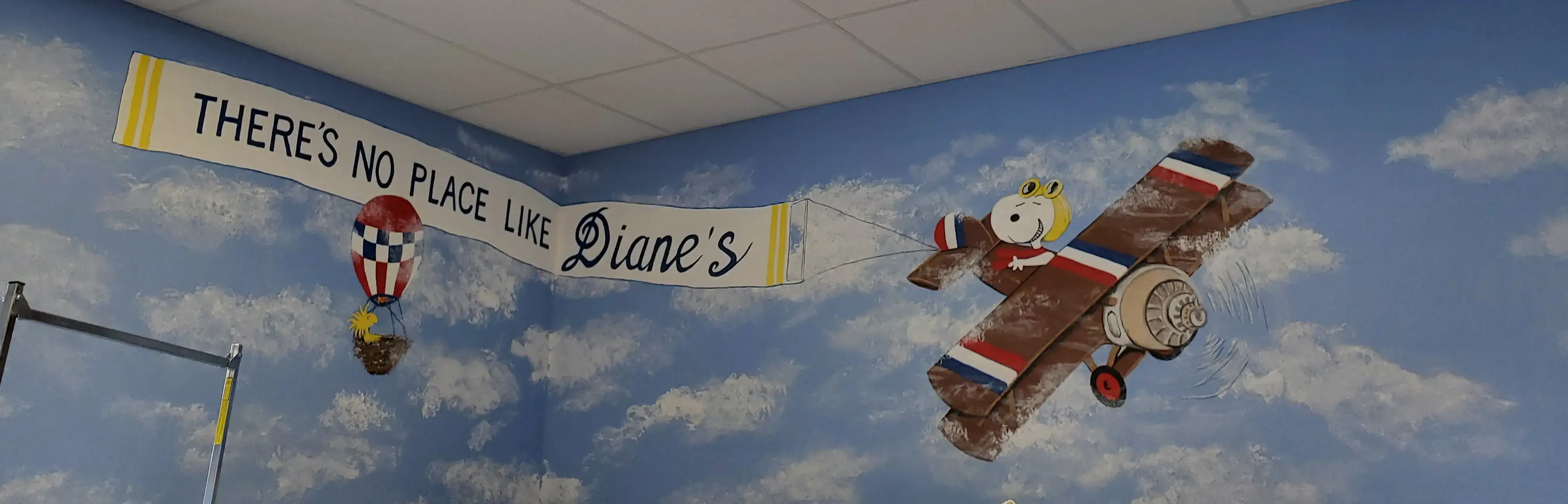 Diane's O'Matic Wash thumbnail 18