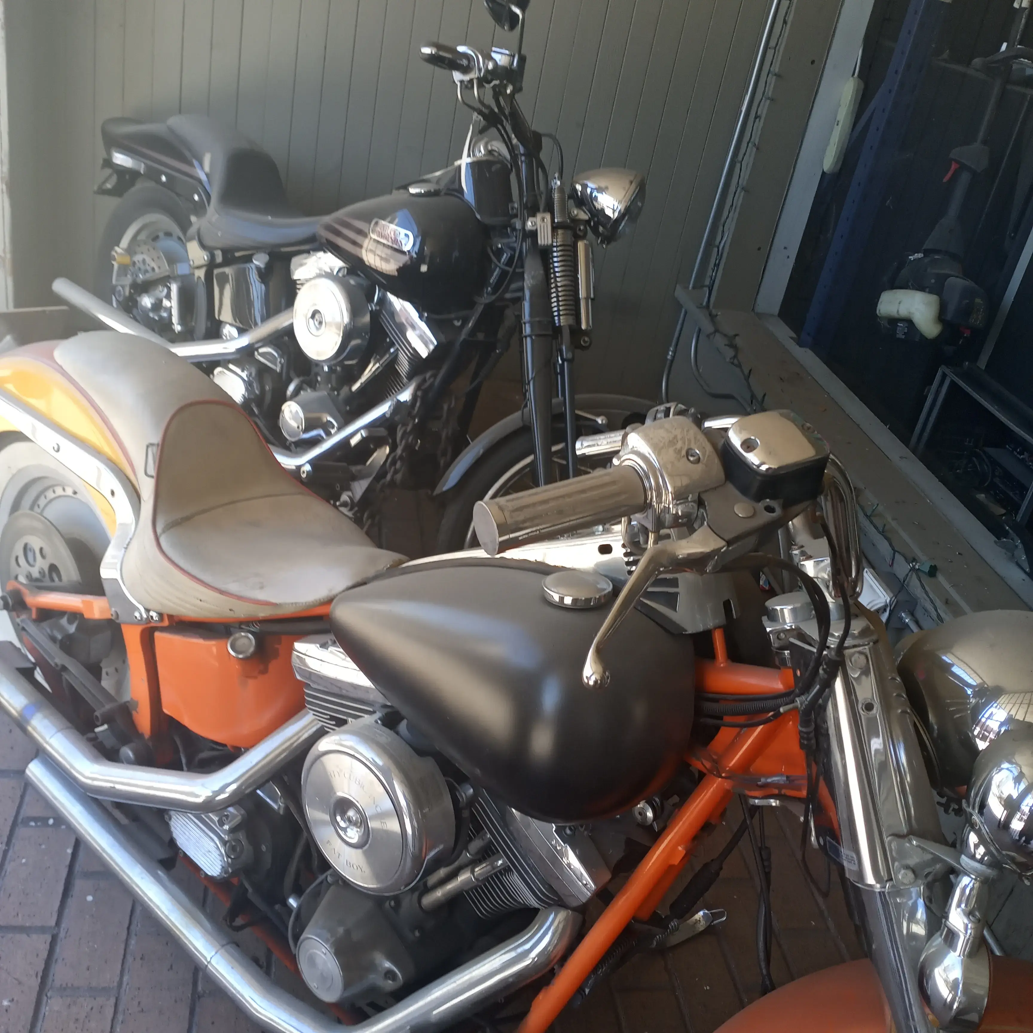 Dirty Bird Laundry - Image 3