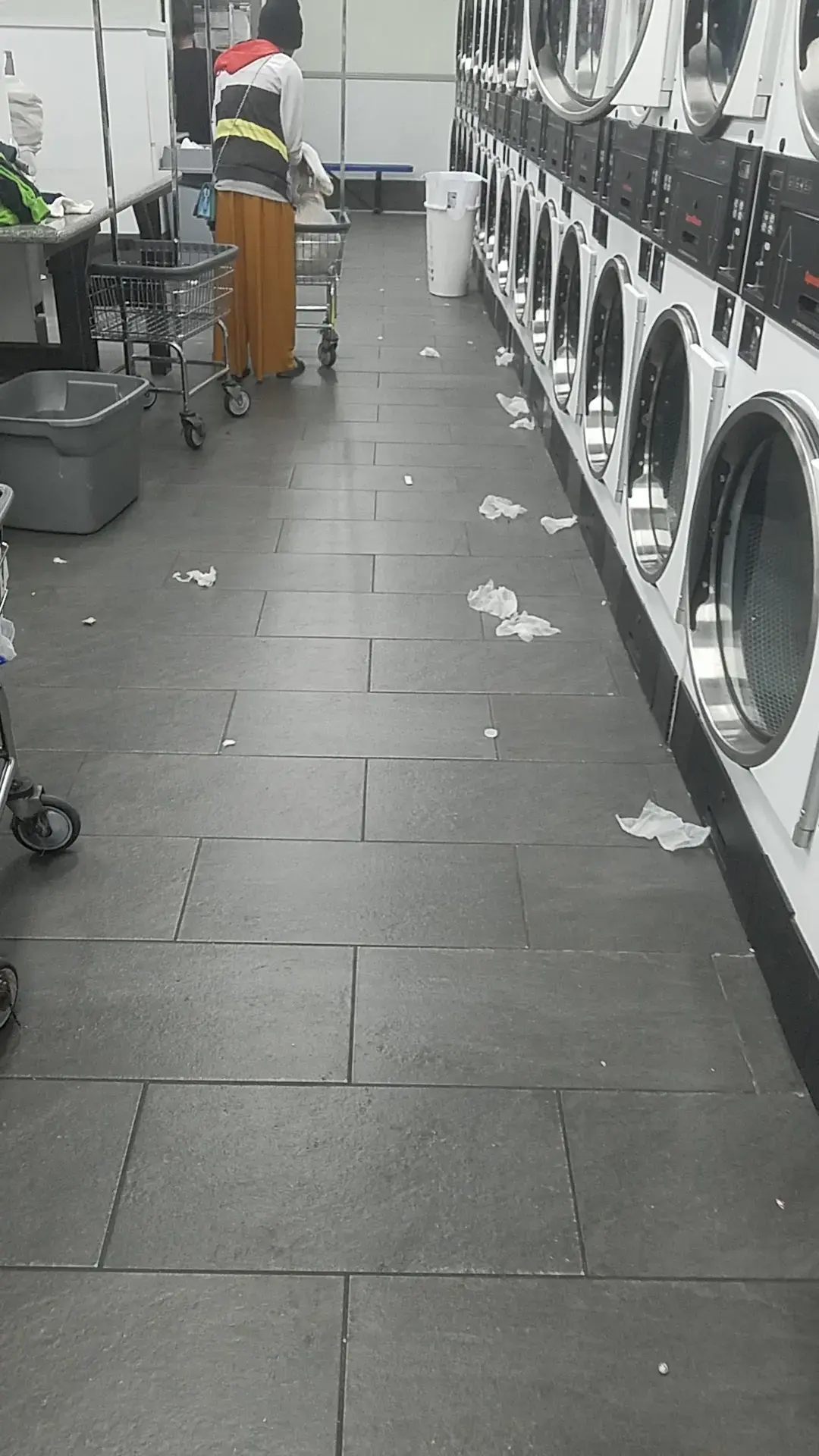 Dirty Bird Laundry thumbnail 18