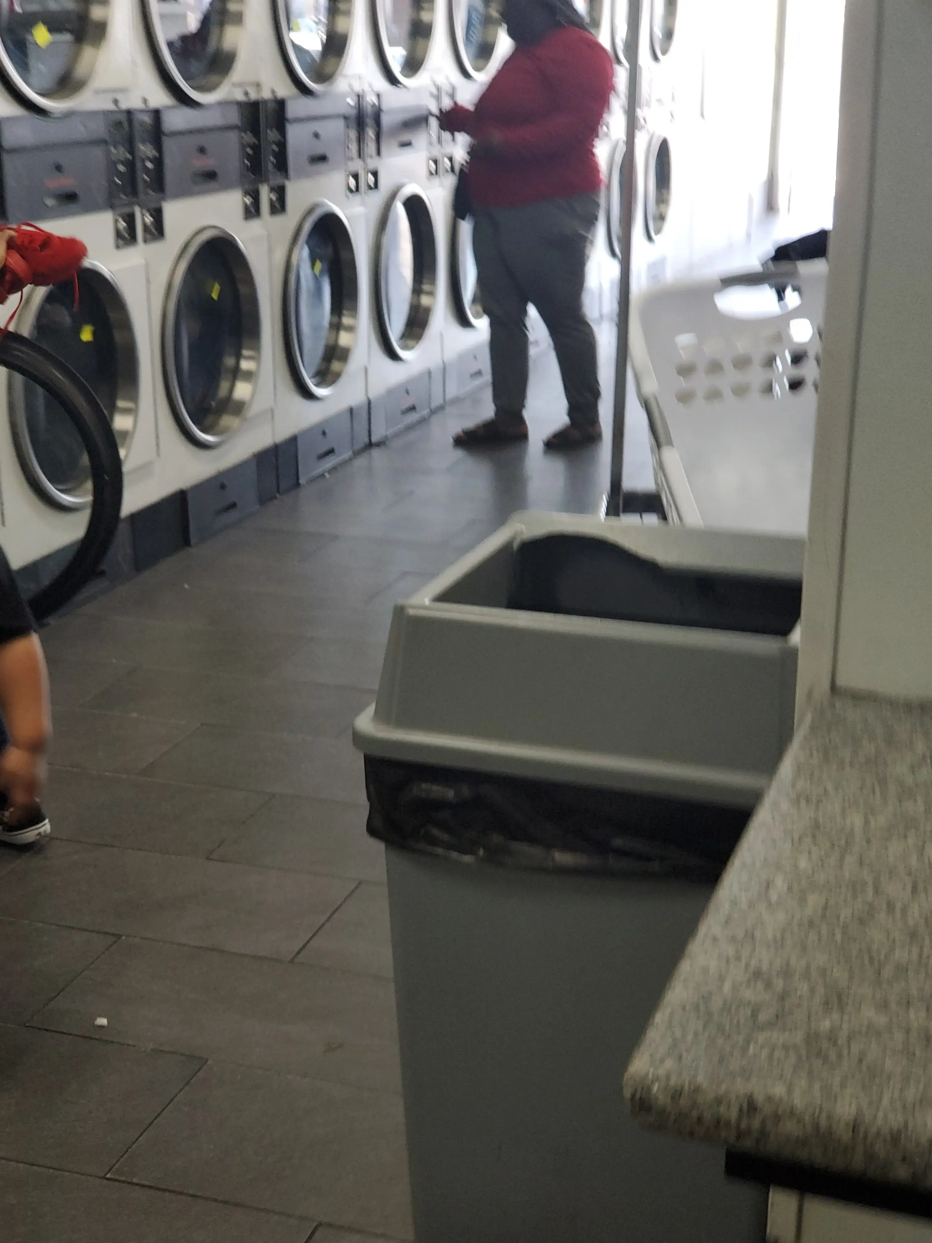 Dirty Bird Laundry - Image 15