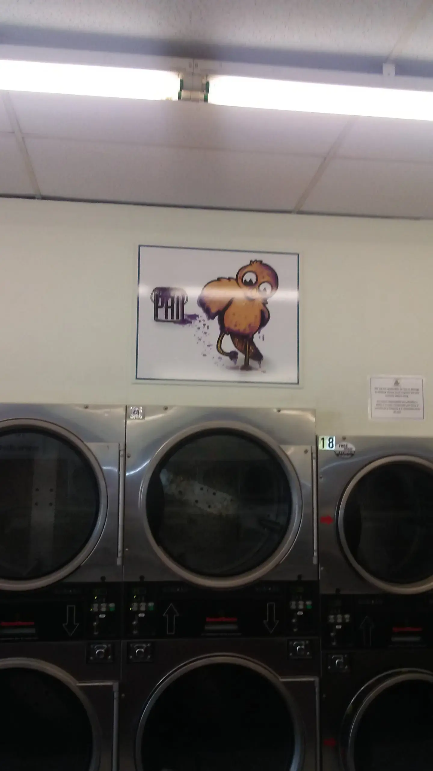 Dirty Bird Laundry thumbnail 3