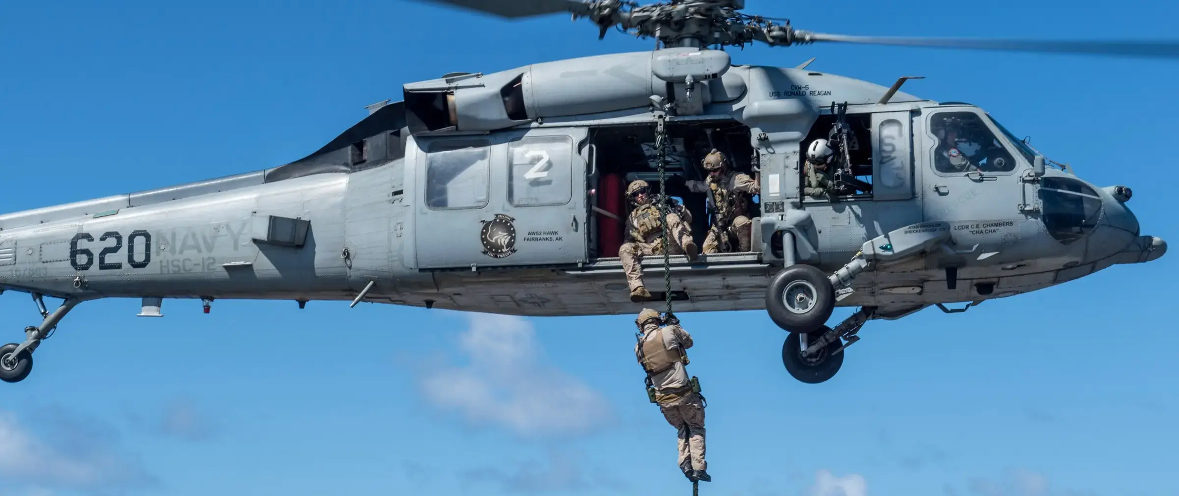 Dirty Bird Laundry - Image 4