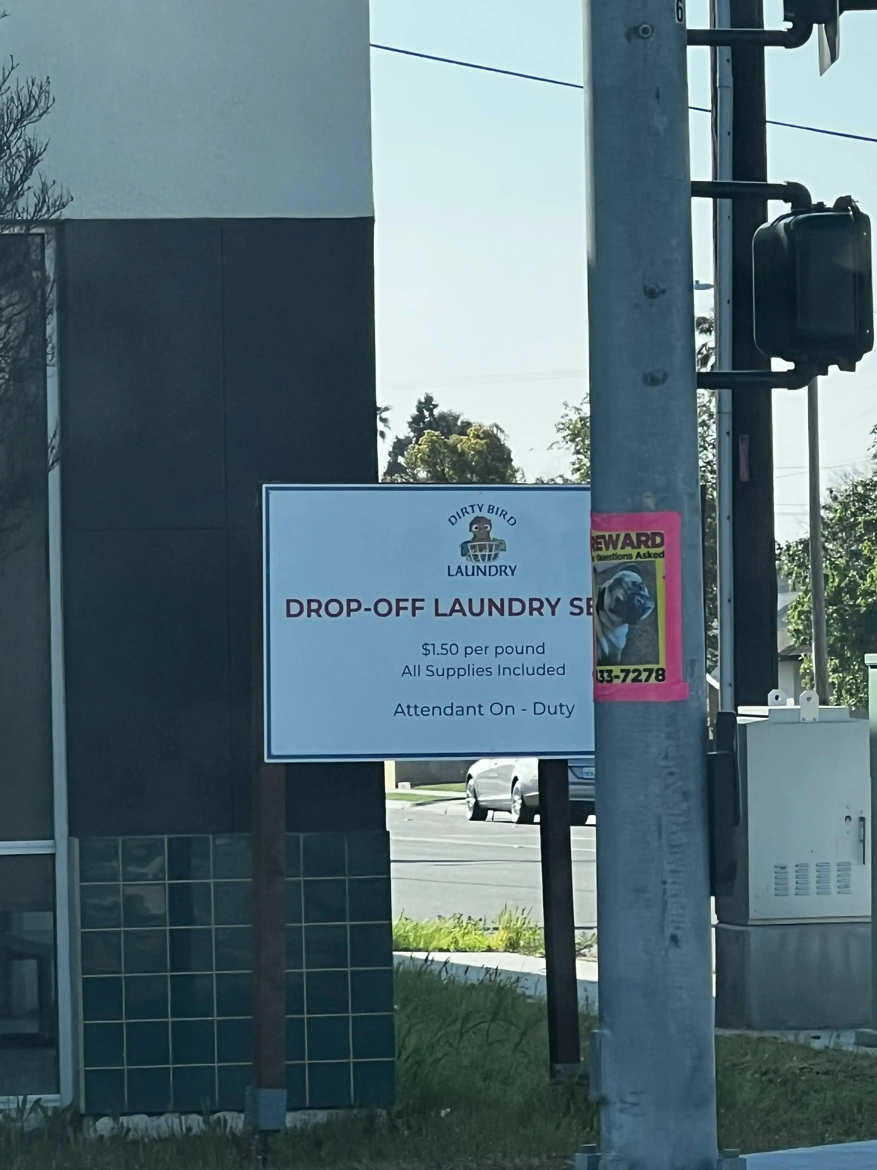 Dirty Bird Laundry - Image 12