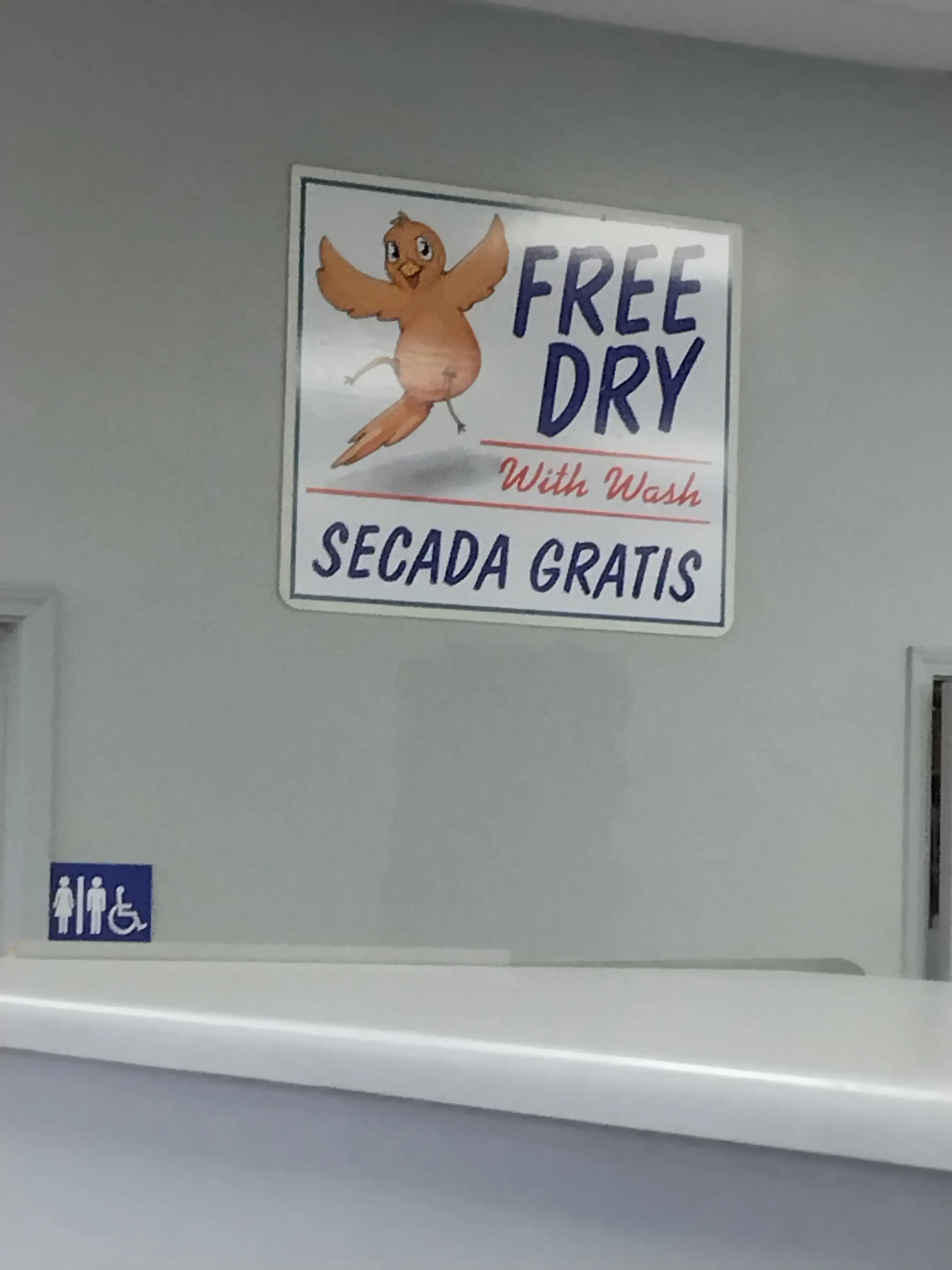 Dirty Bird Laundry - Image 11