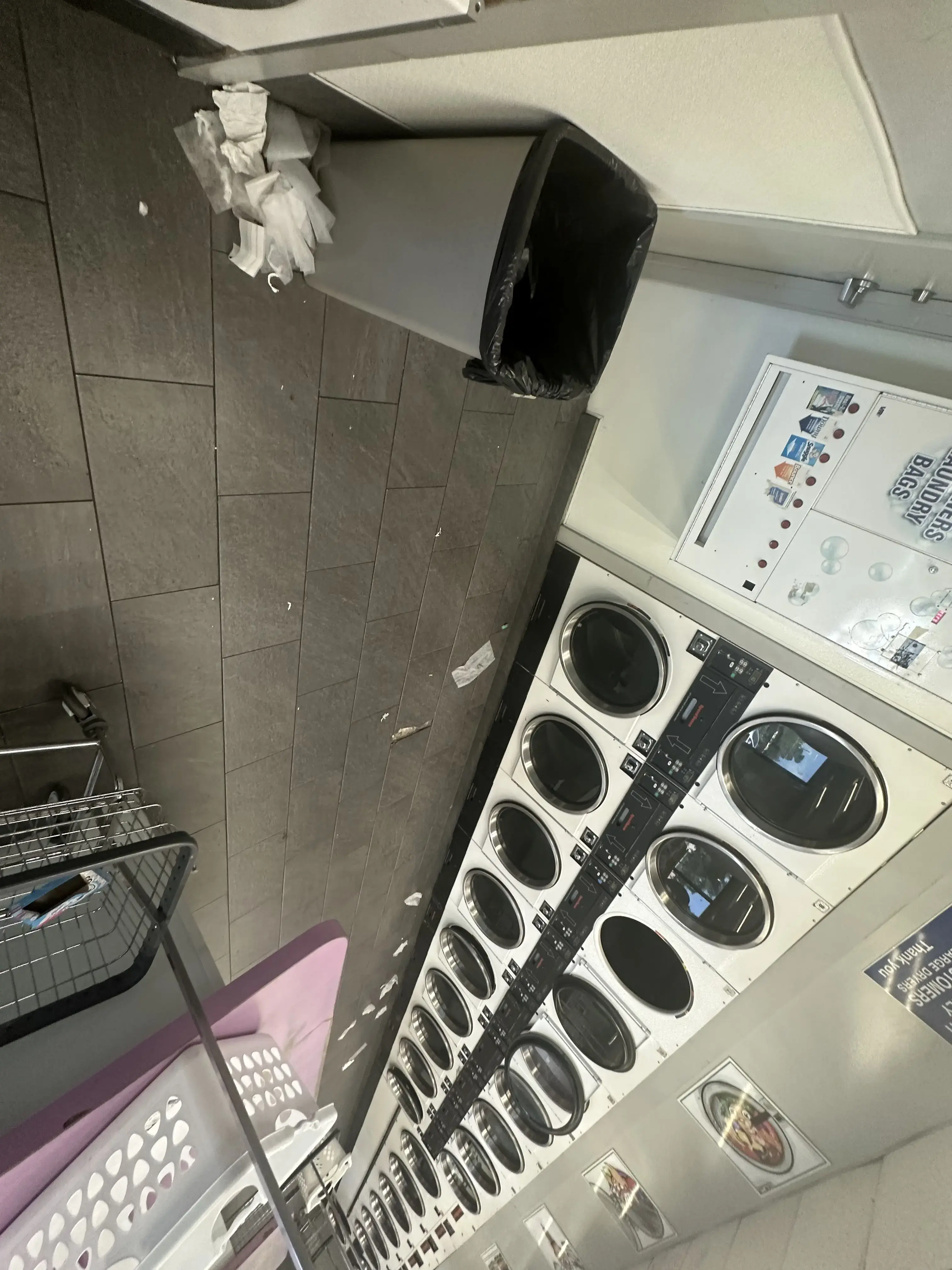 Dirty Bird Laundry - Image 9