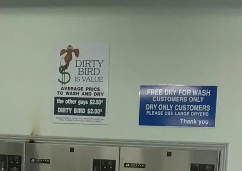 Dirty Bird Laundry - Image 8