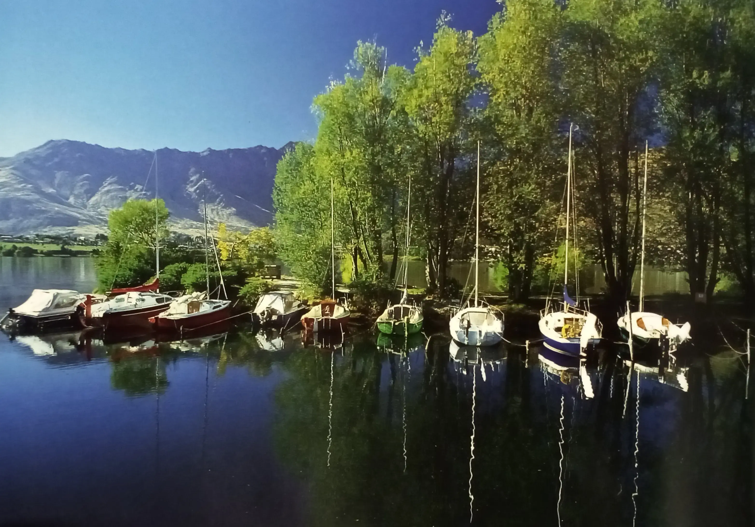 Dirty Bird Laundry - Image 10