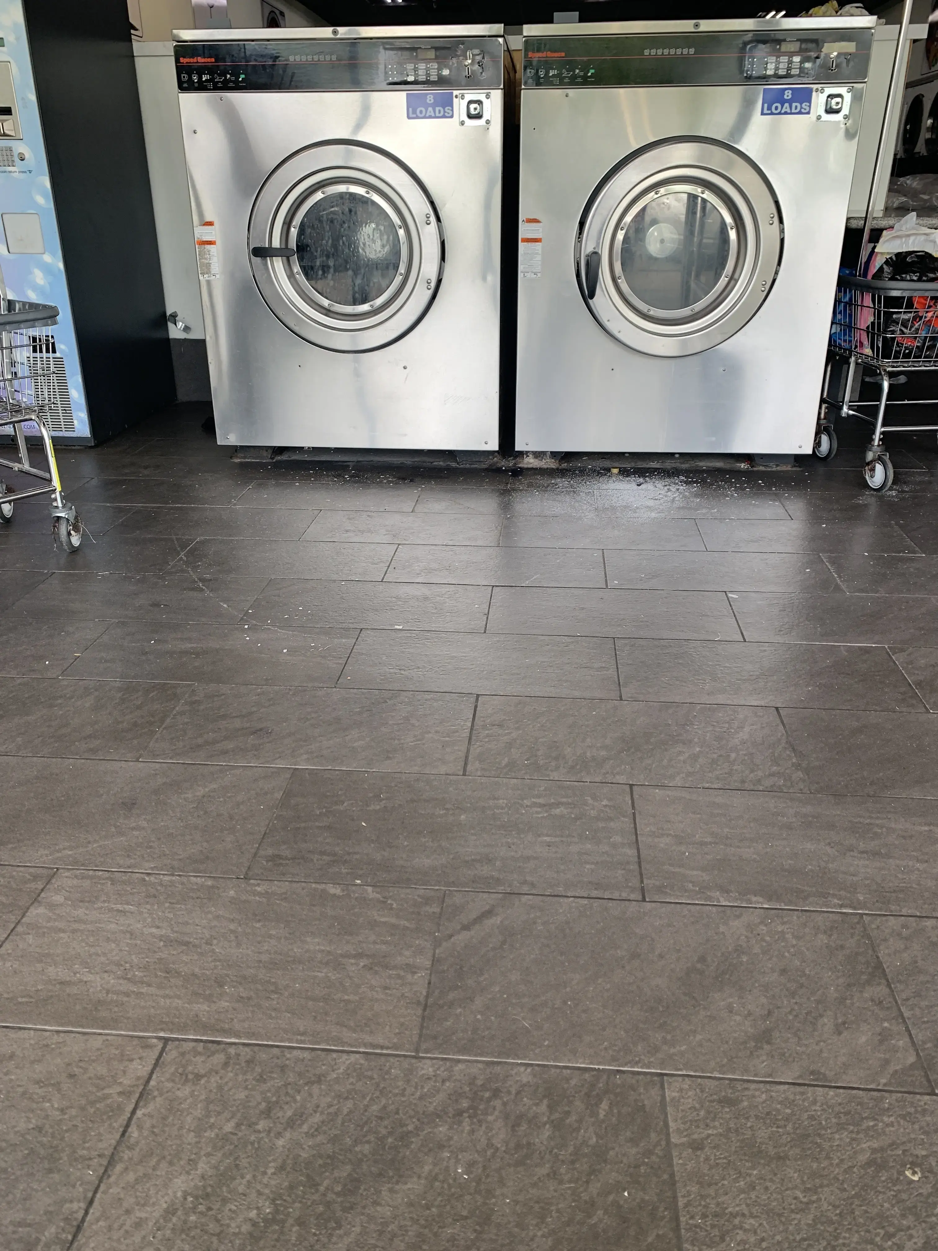 Dirty Bird Laundry - Image 2