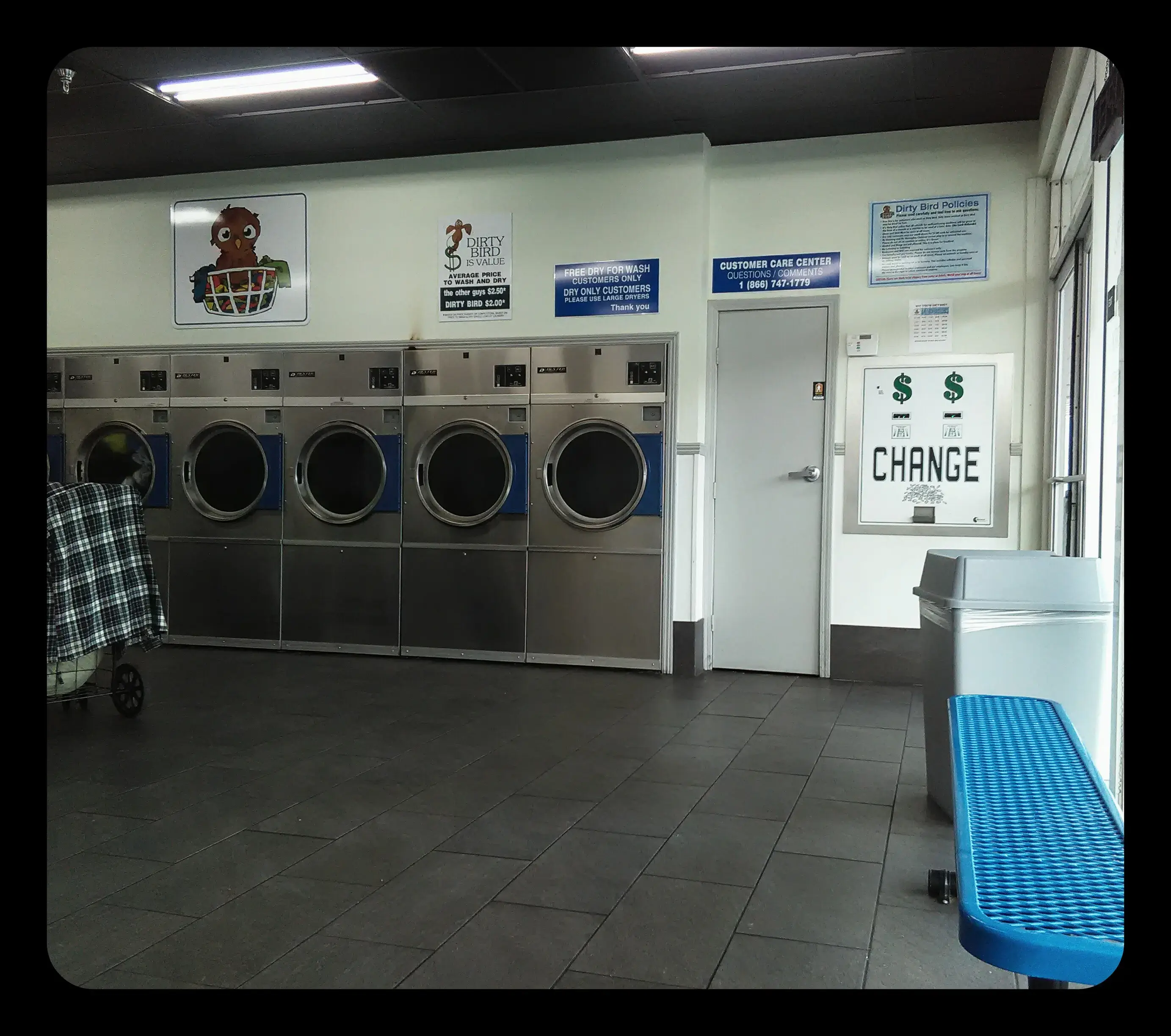 Dirty Bird Laundry thumbnail 17