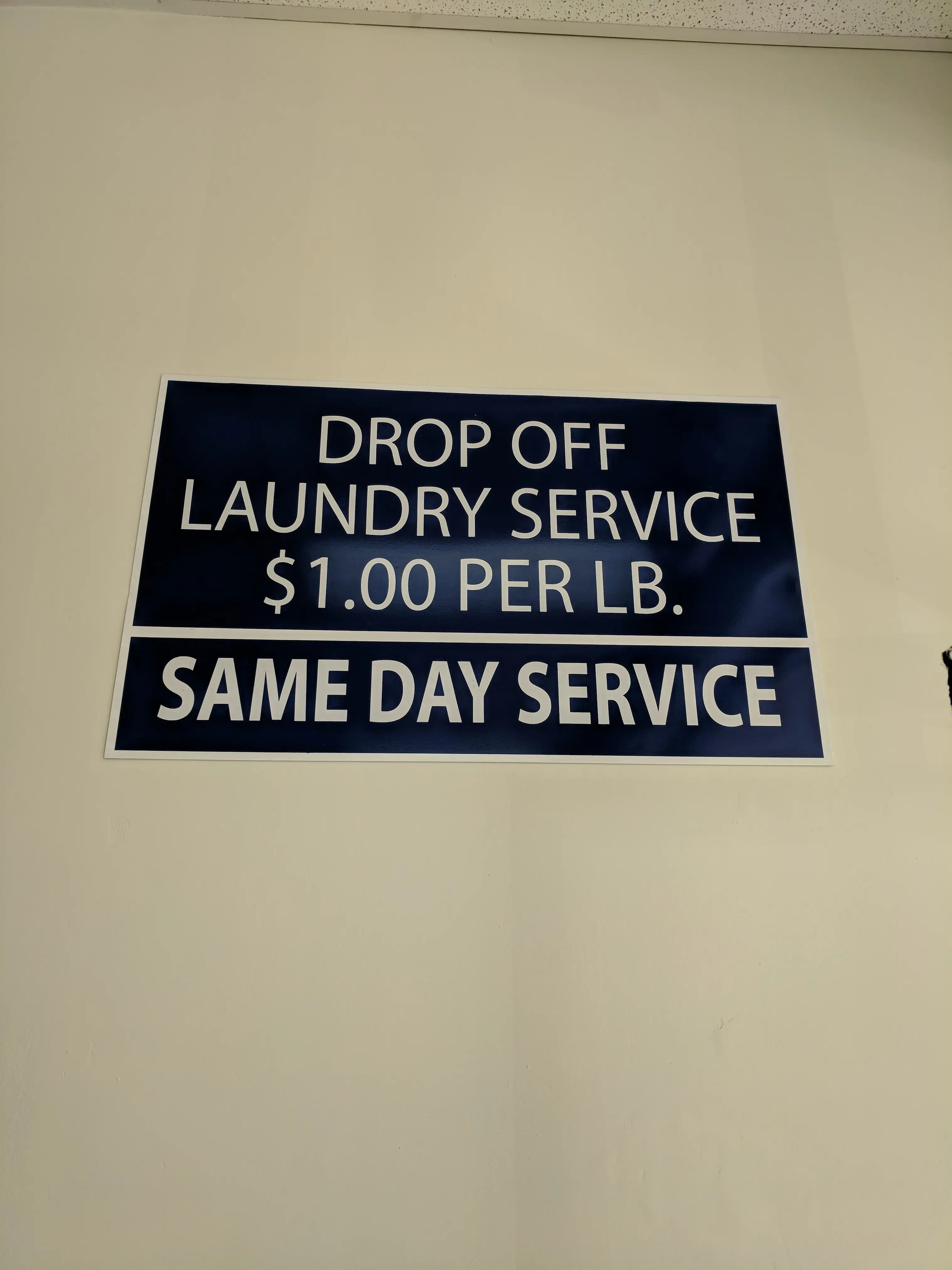 Dirty Bird Laundry thumbnail 14