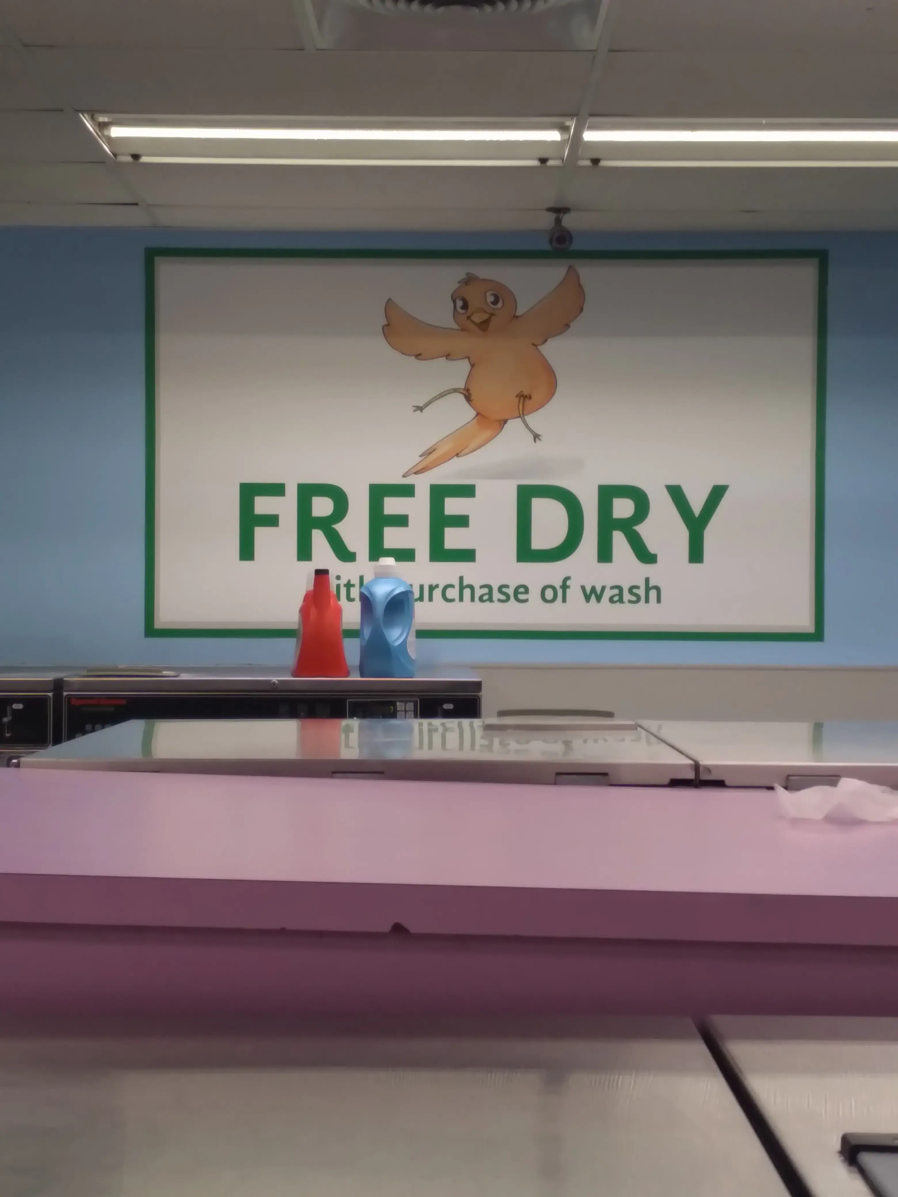Dirty Bird Laundry - Image 17