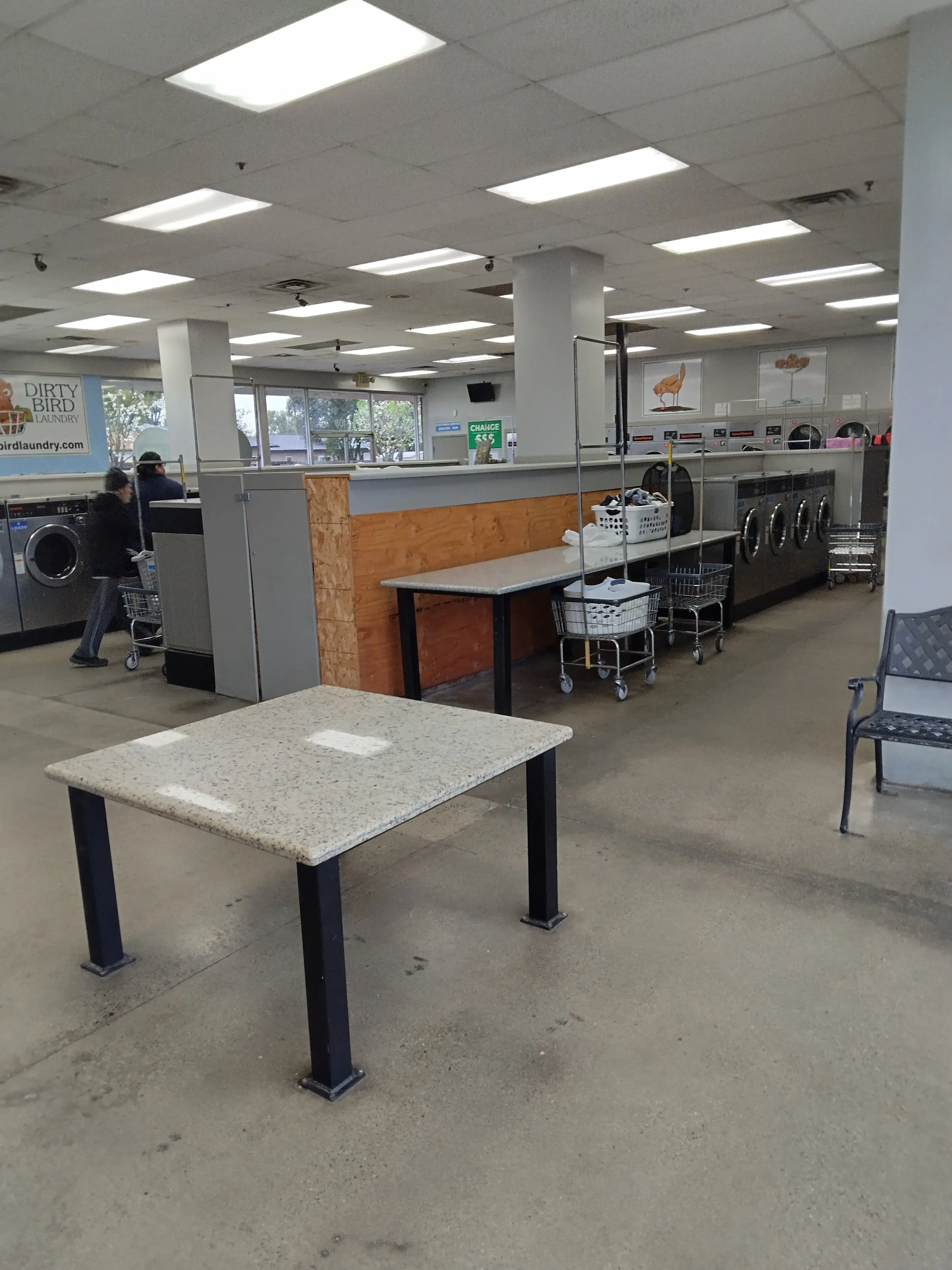 Dirty Bird Laundry - Image 3