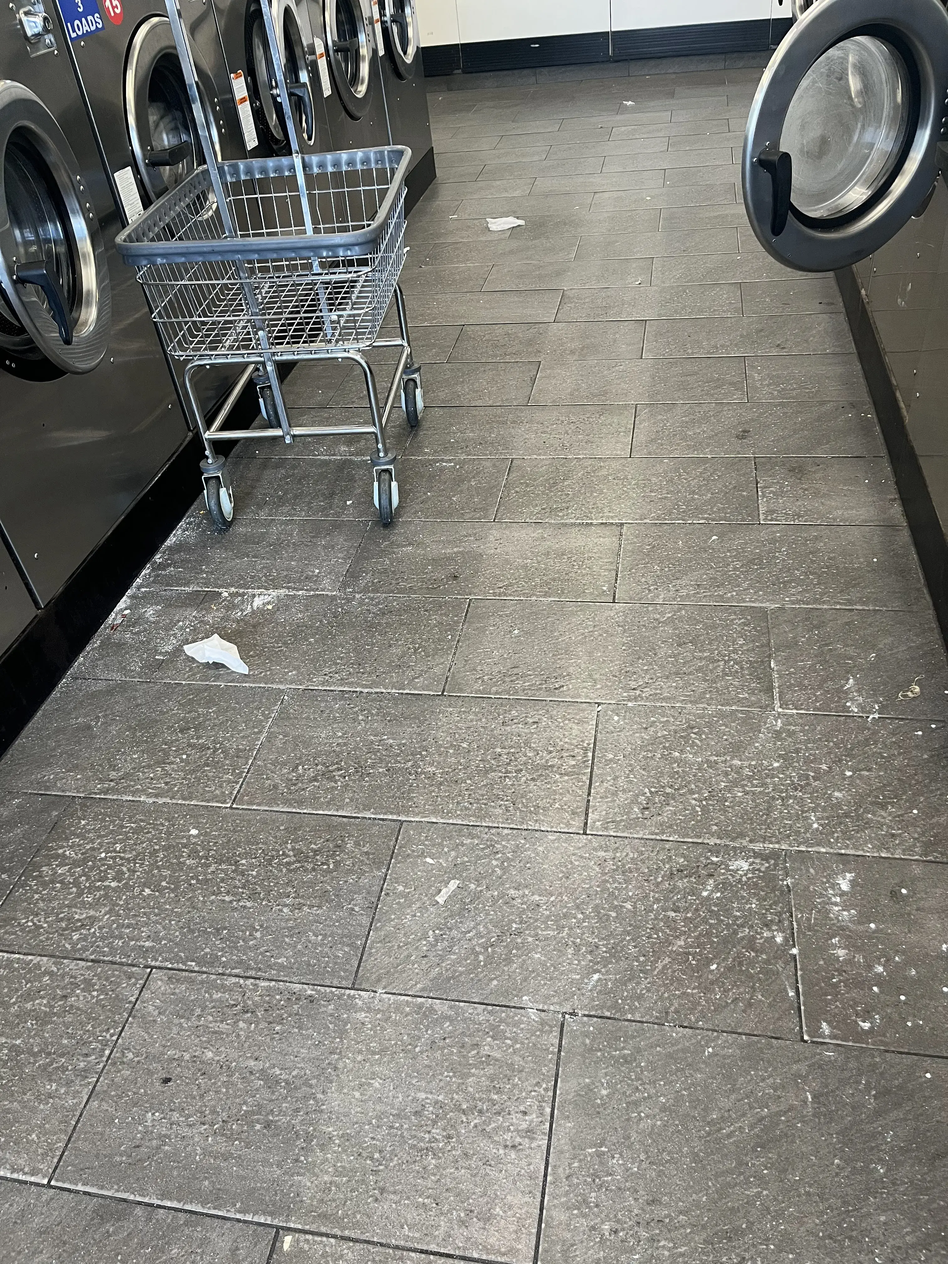 Dirty Bird Laundry - Image 5