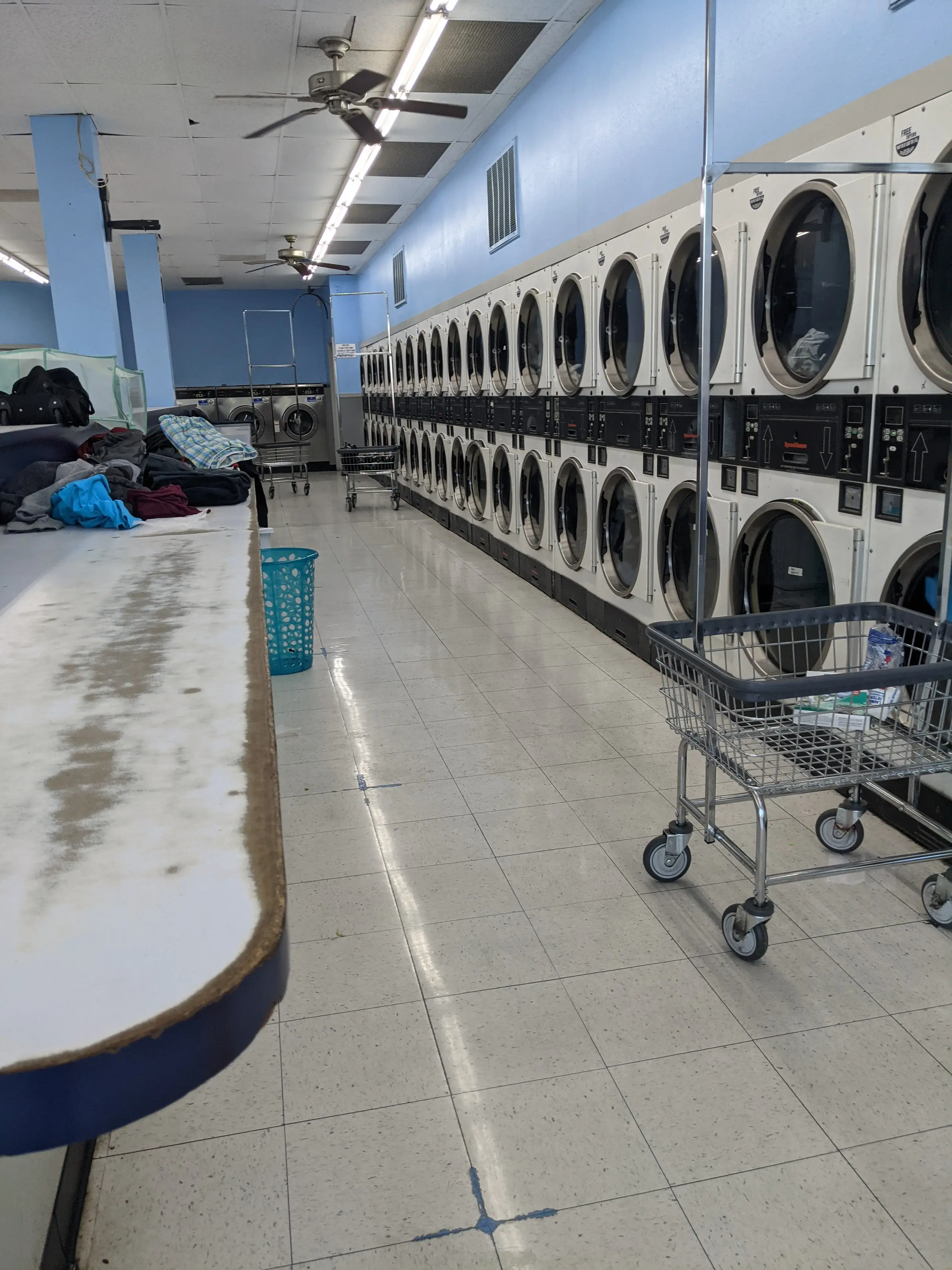 Dirty Bird Laundry thumbnail 7