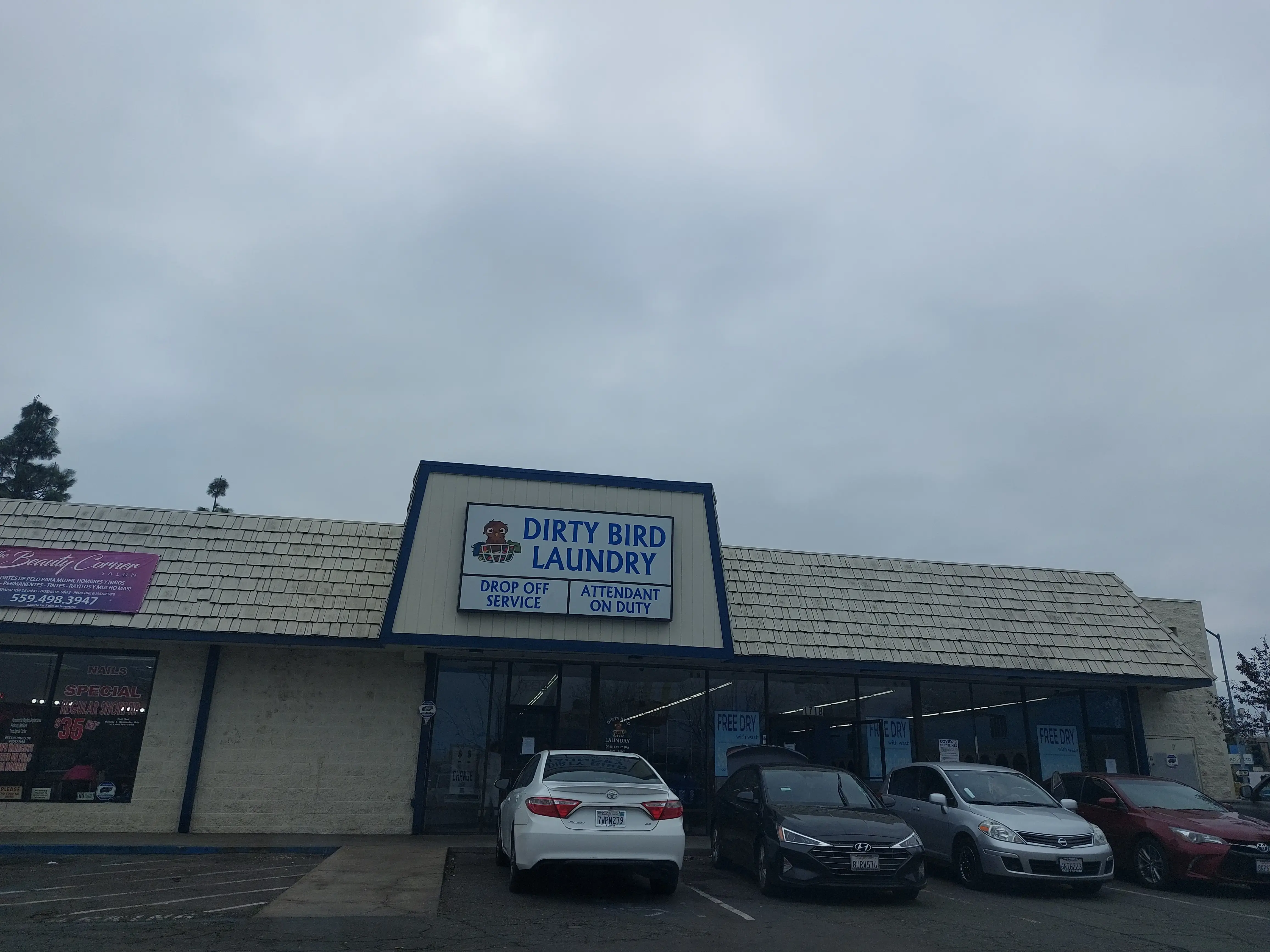 Dirty Bird Laundry - Image 4