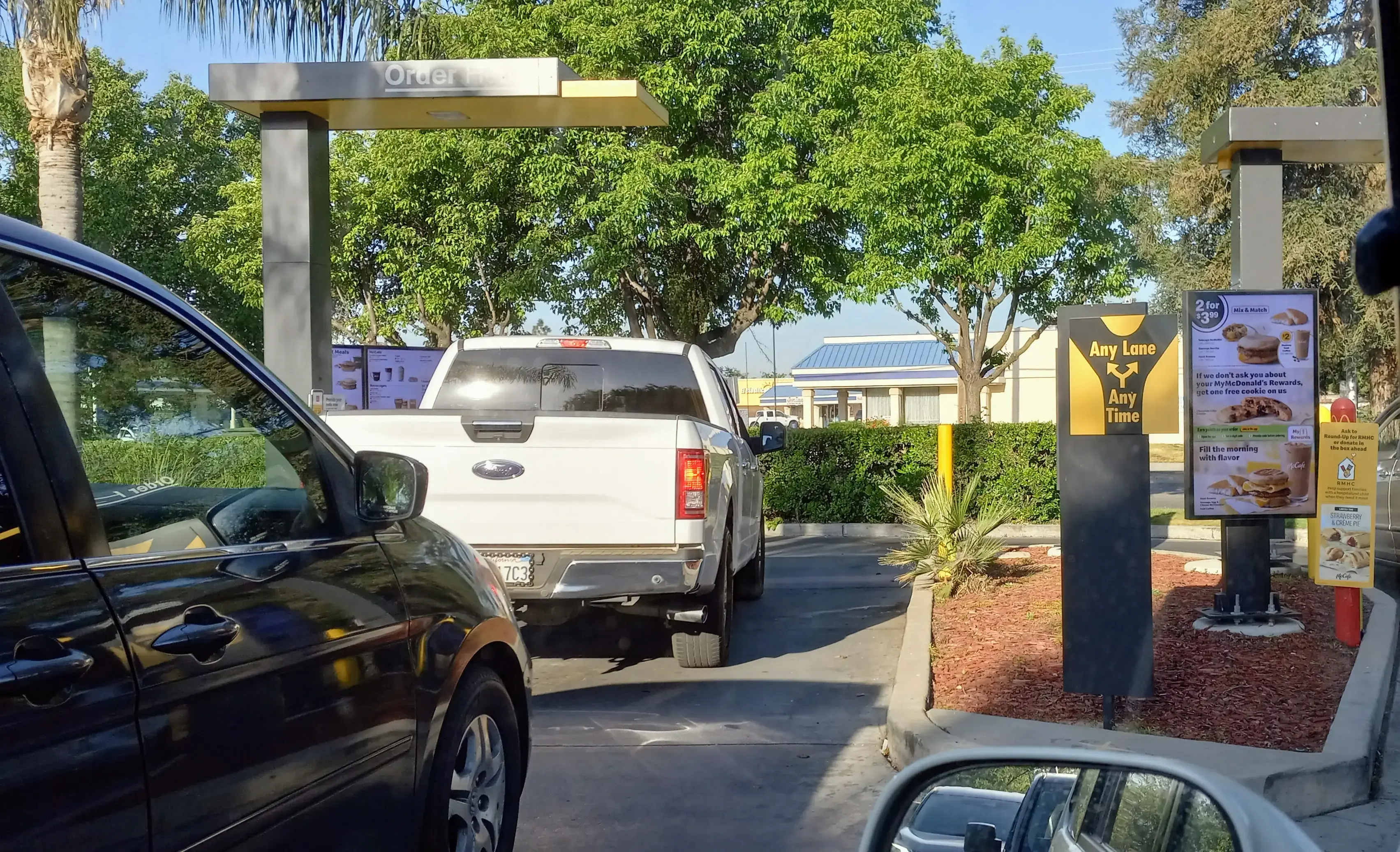 Dirty Bird Laundry - Image 8