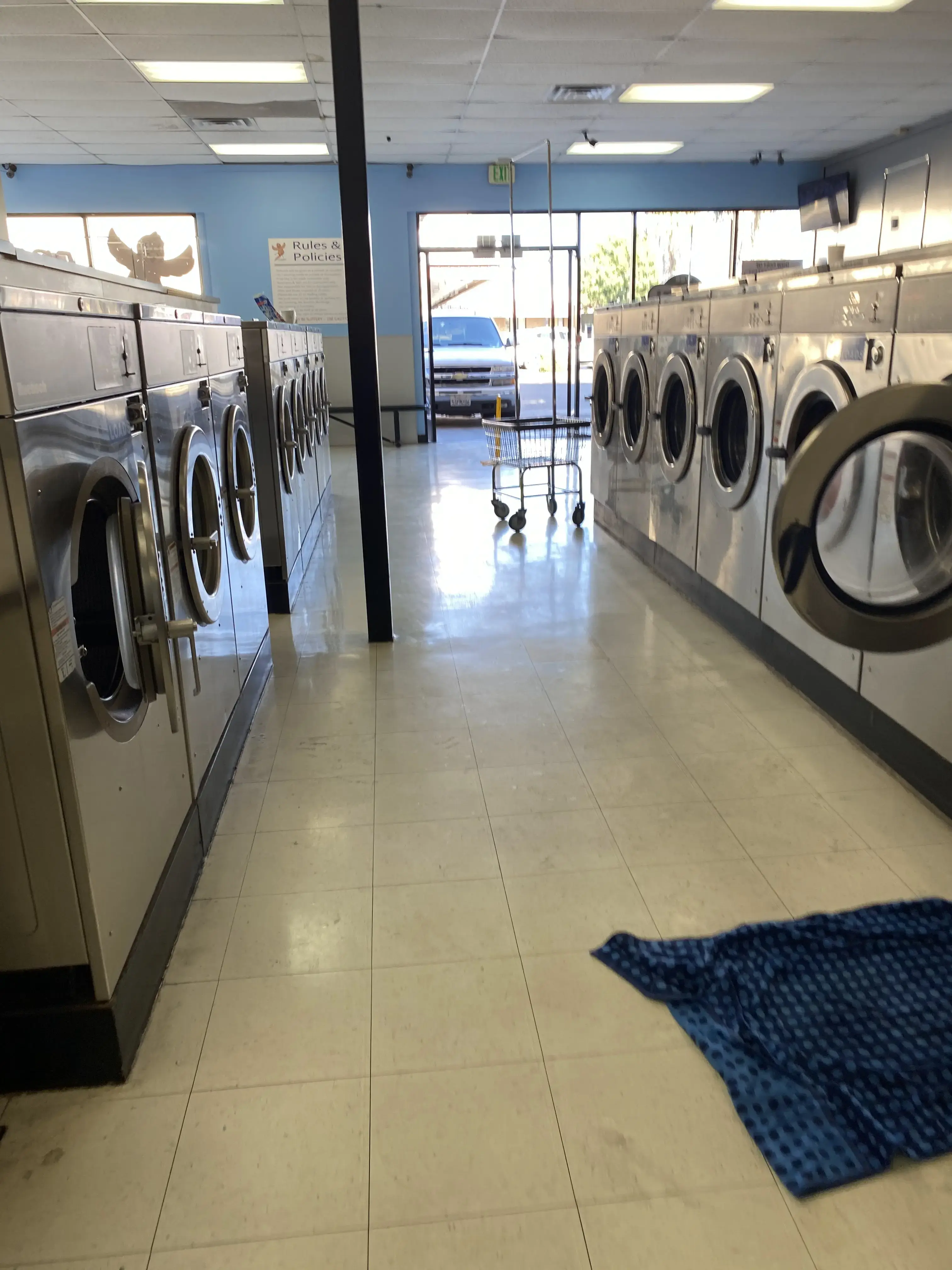 Dirty Bird Laundry thumbnail 3