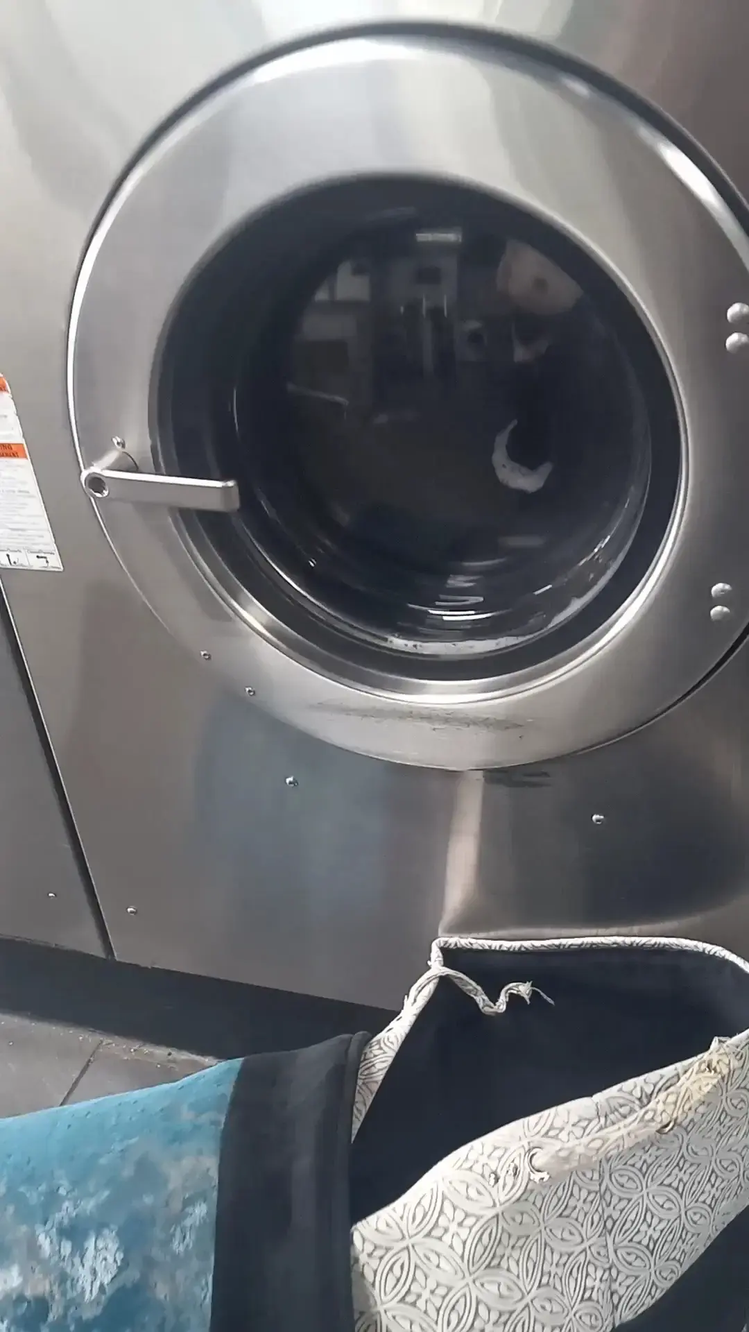 Dirty Bird Laundry thumbnail 15